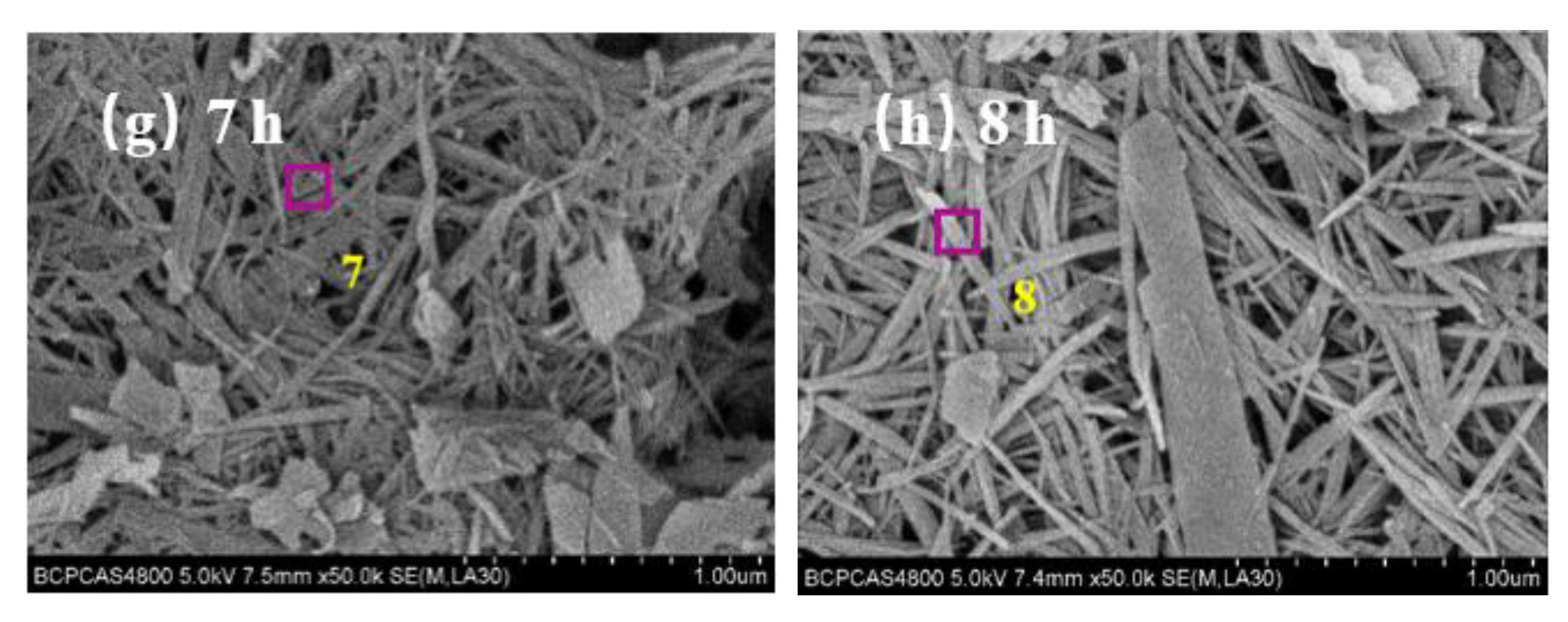 Materials 16 01288 g002b Materials 16 01288 g002b