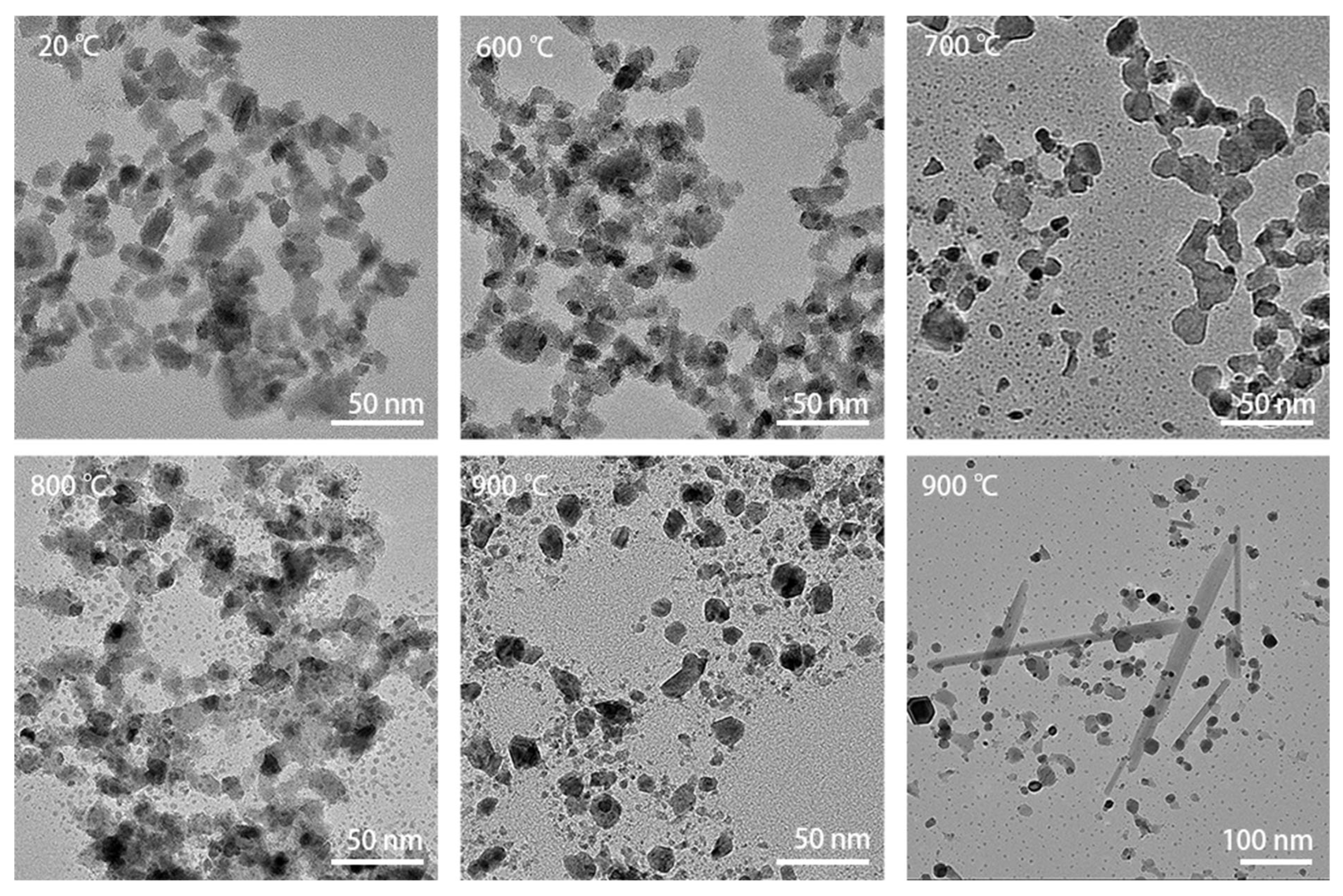 Materials 16 01291 g003