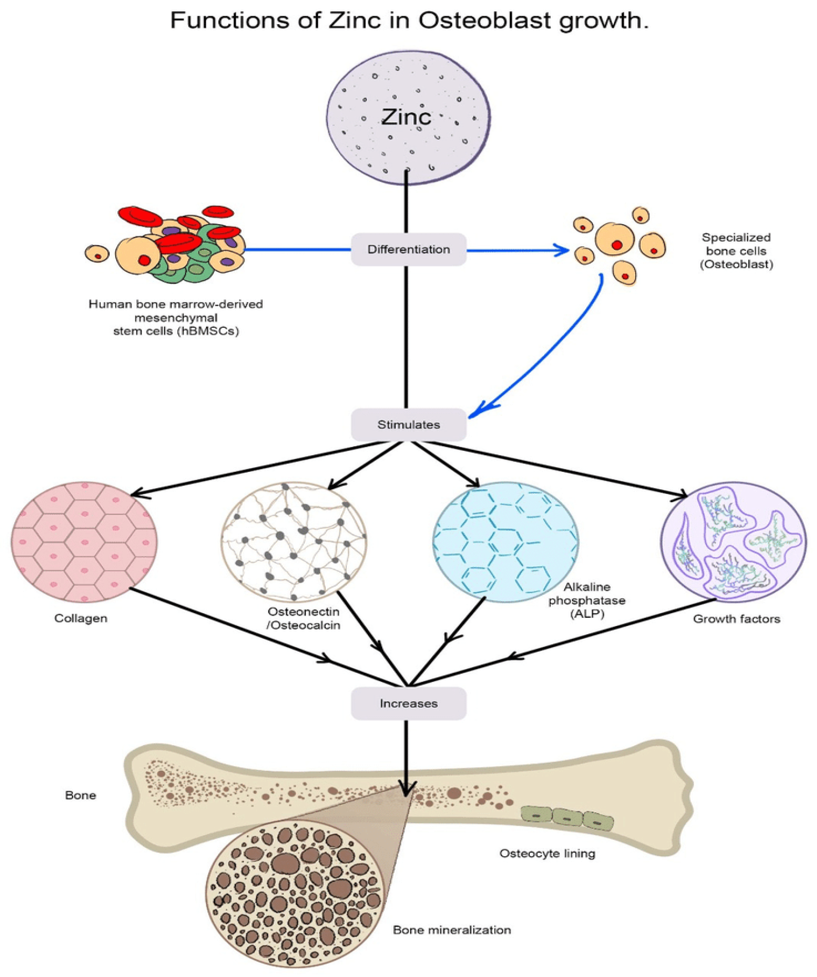 Materials 16 01303 g002