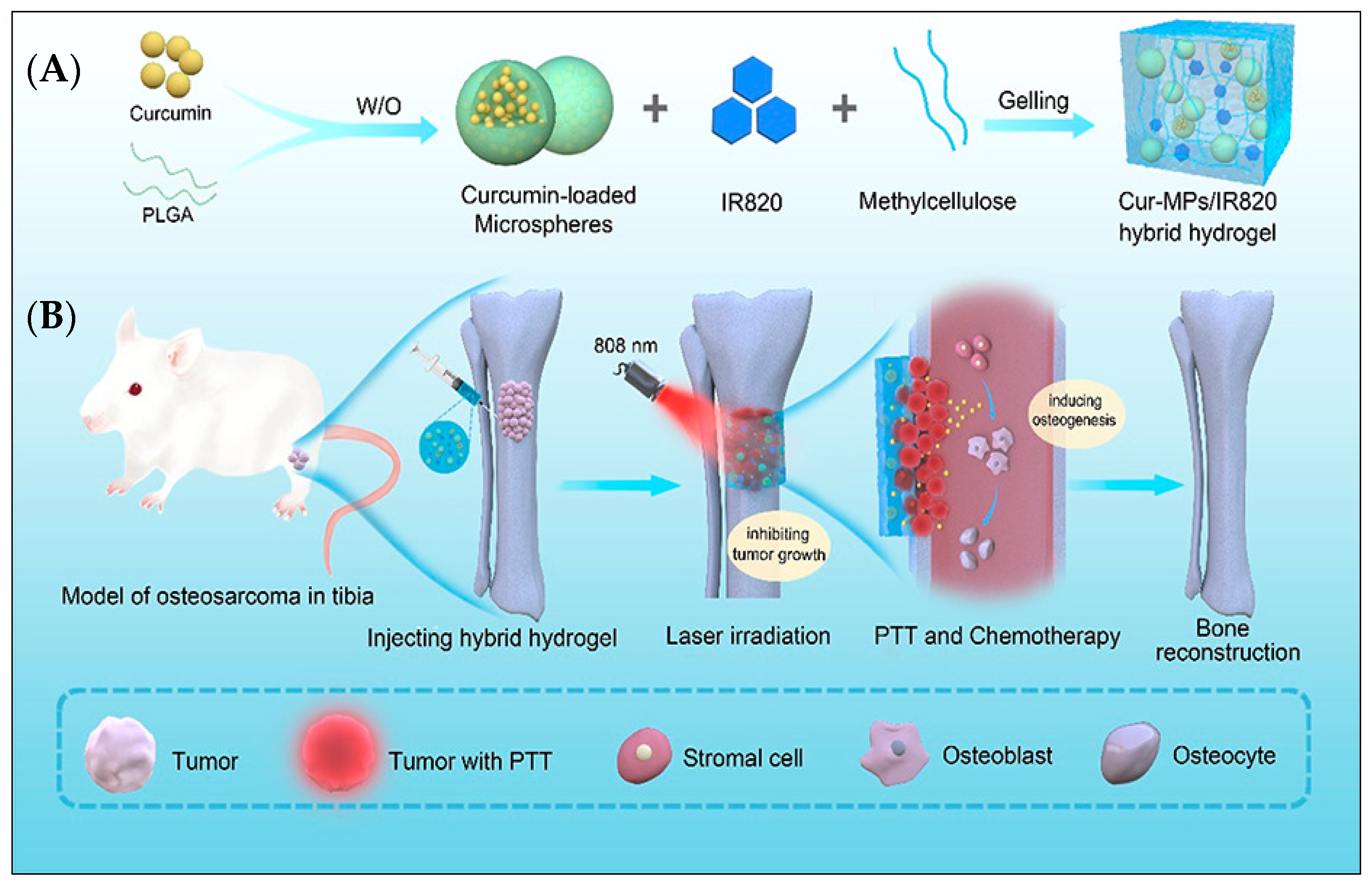 Materials 16 01303 g004