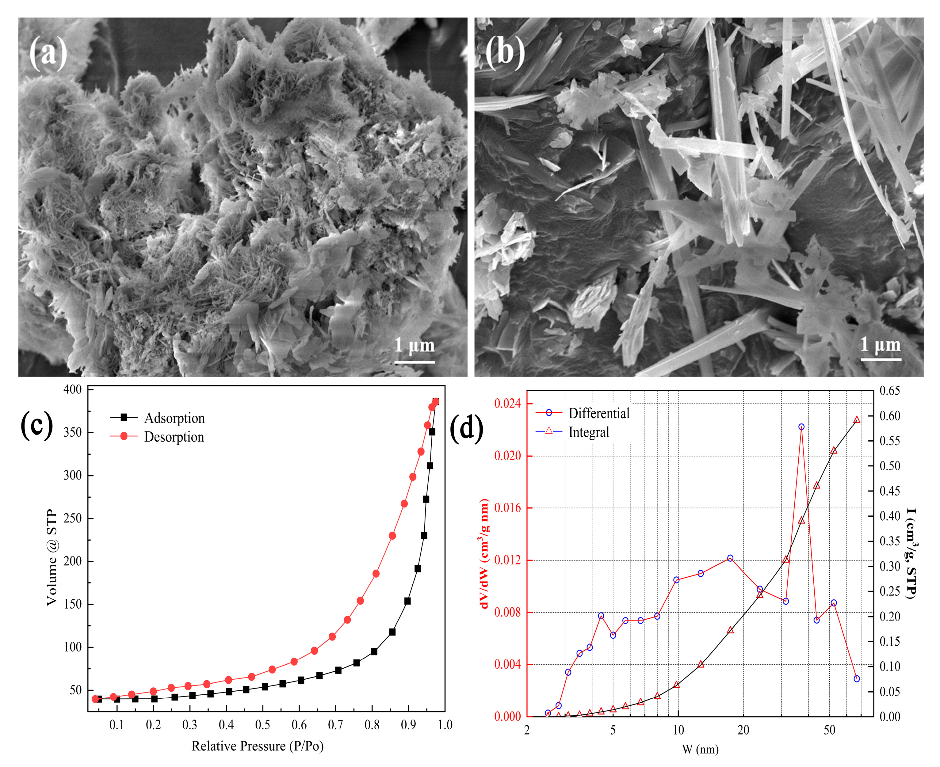 Materials 16 01314 g002