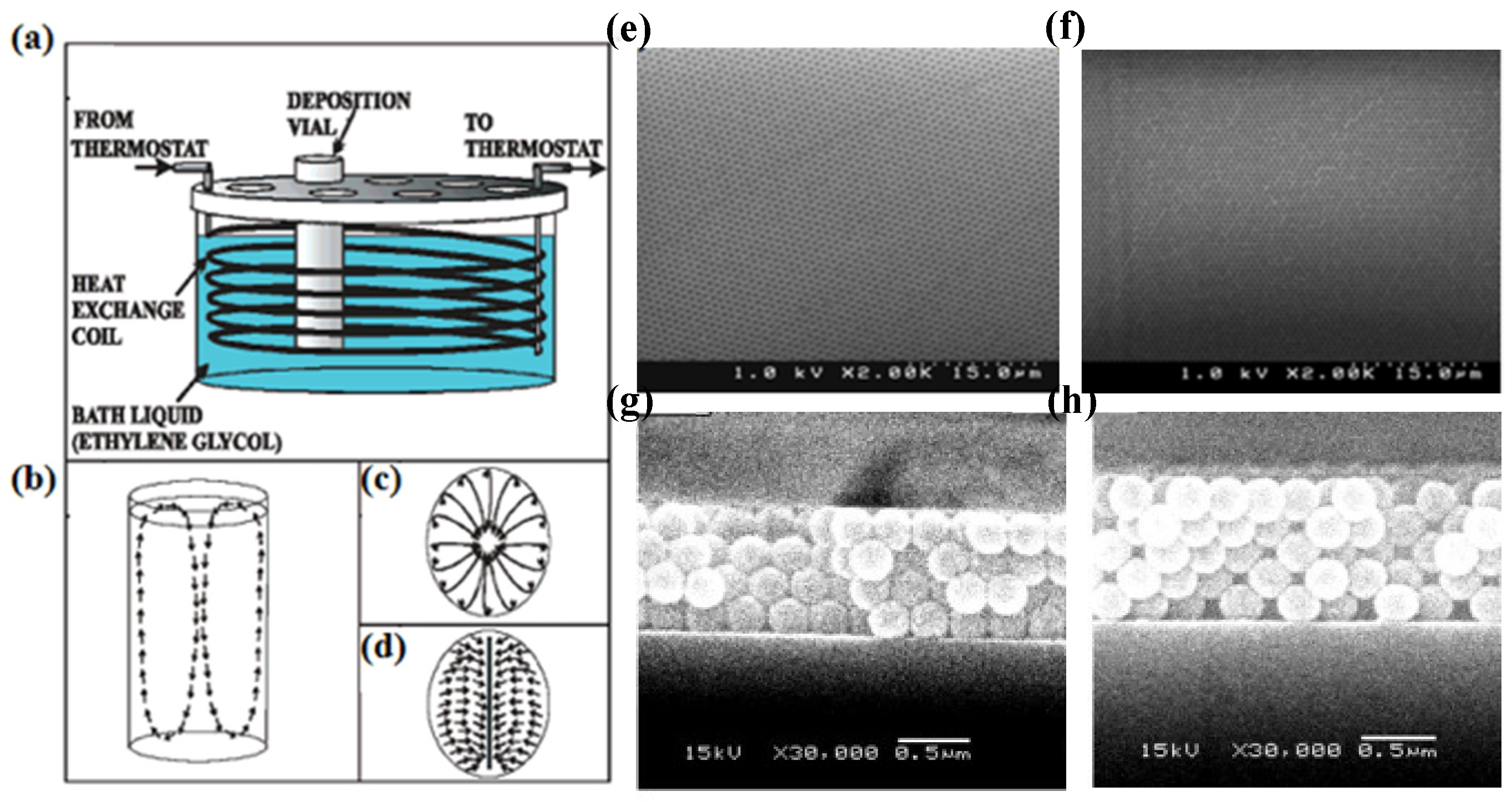 Materials 16 01317 g005