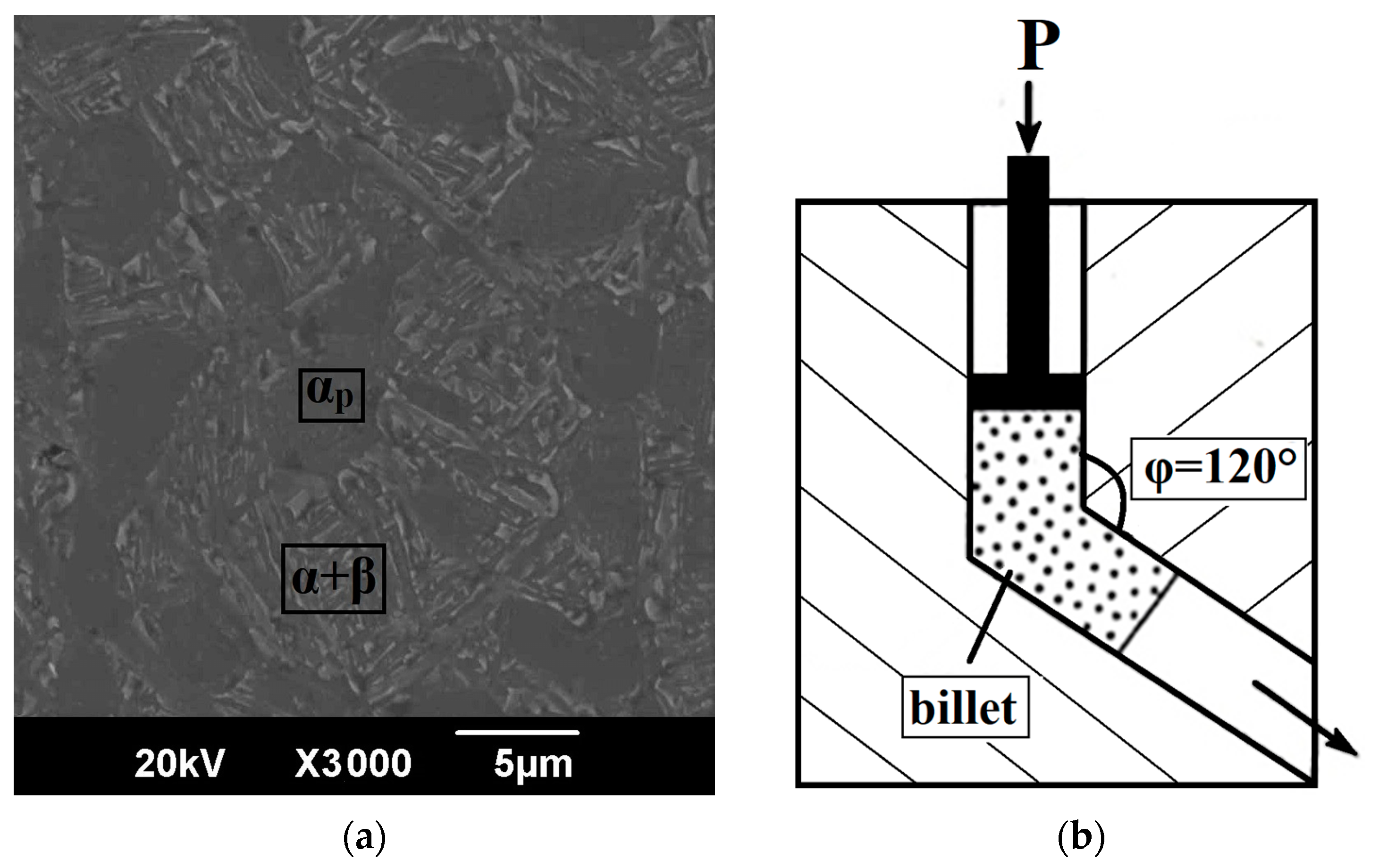 Materials 16 01318 g001 Materials 16 01318 g001
