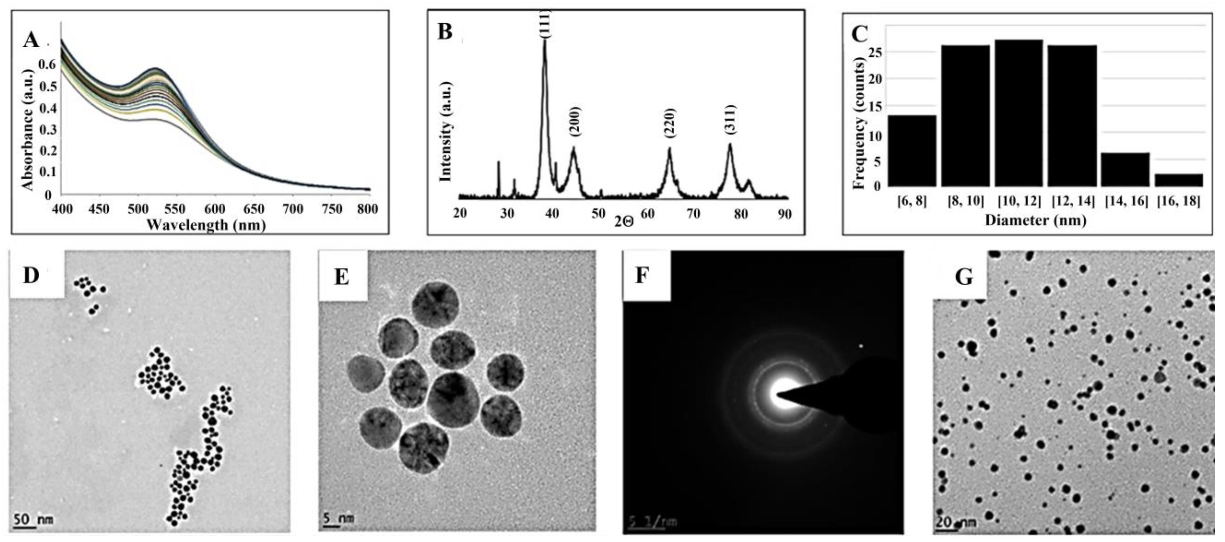 Materials 16 01319 g003 Materials 16 01319 g003