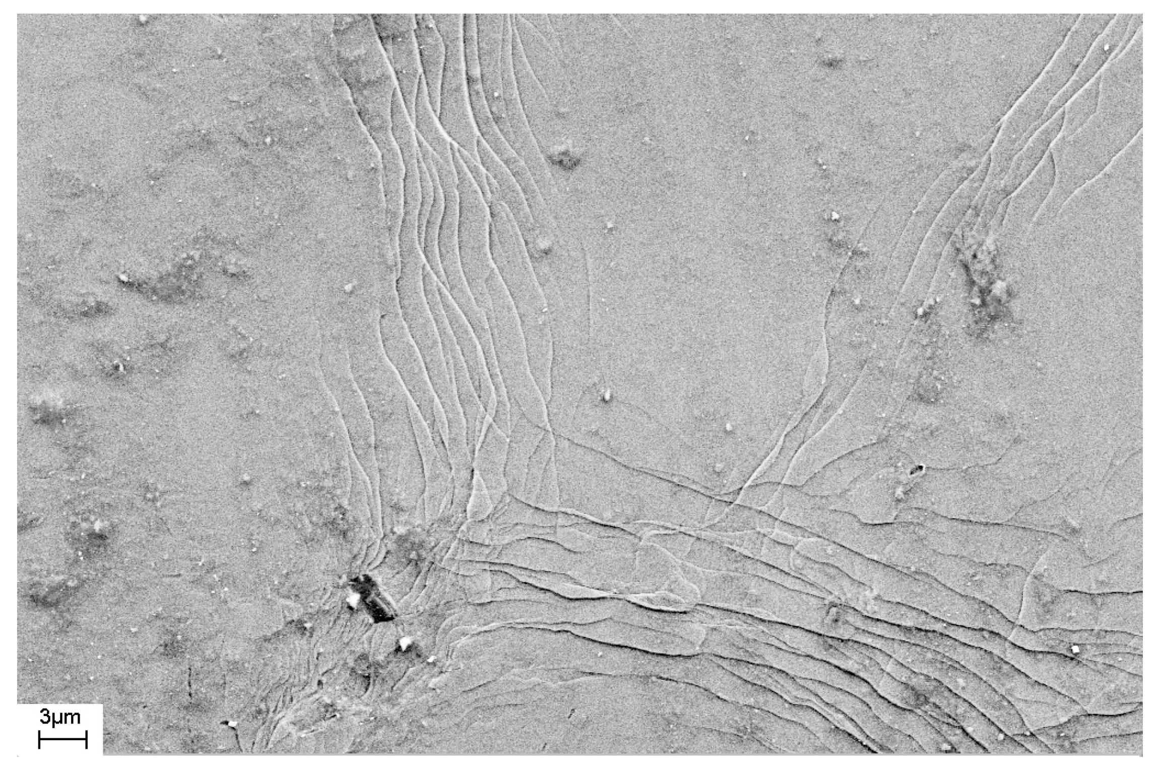 Materials 16 01321 g015 Materials 16 01321 g015