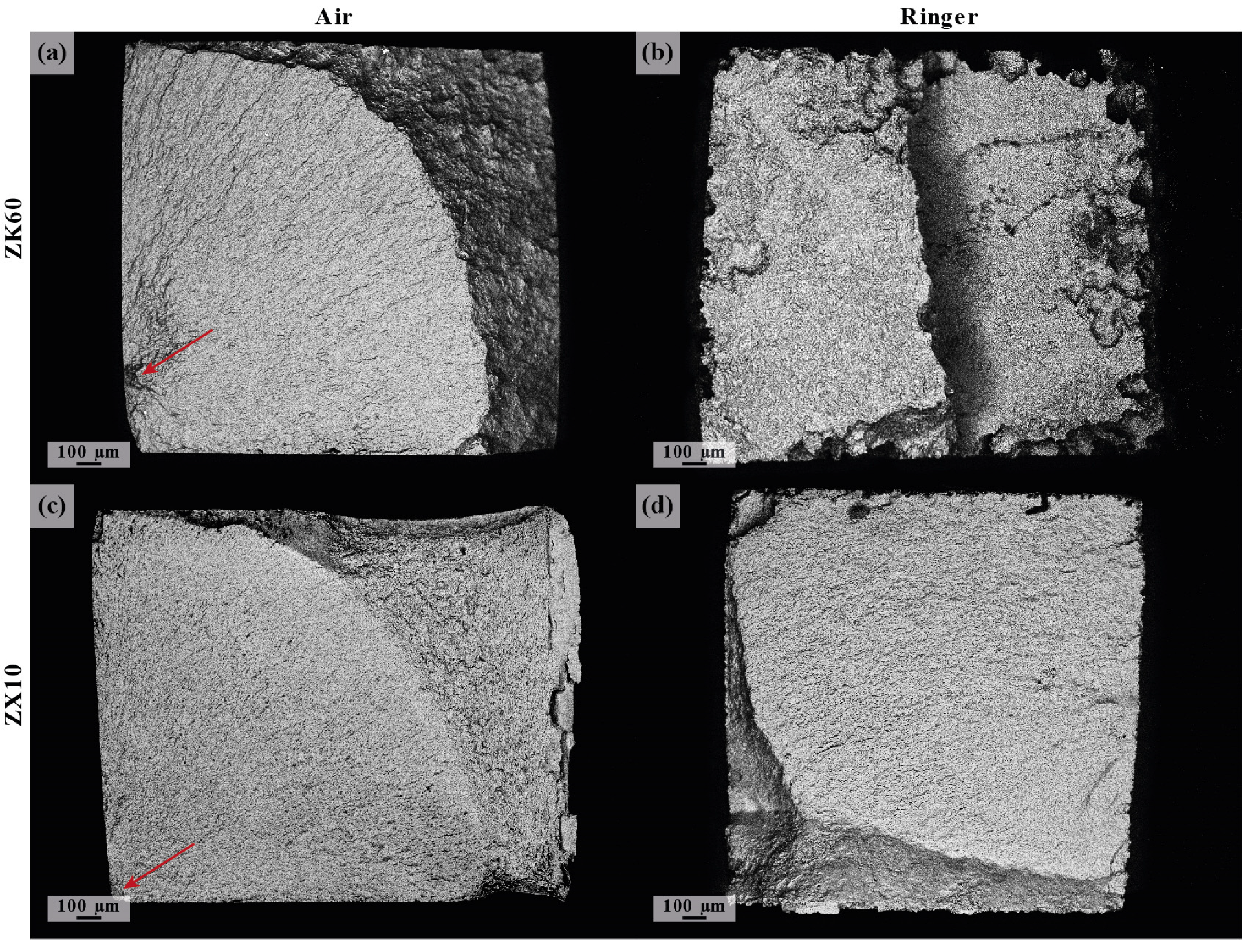 Materials 16 01324 g012 Materials 16 01324 g012