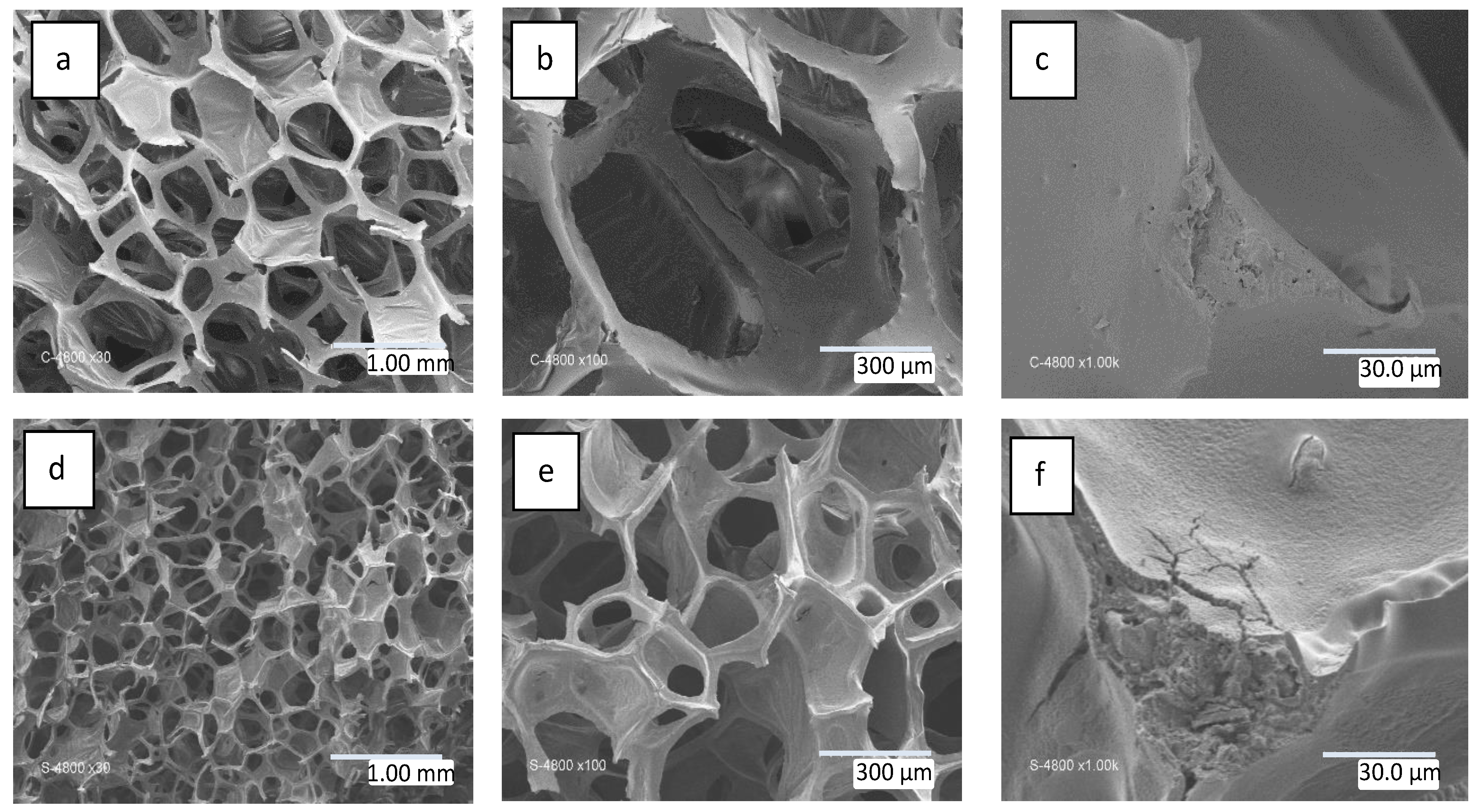 Materials 16 01328 g002