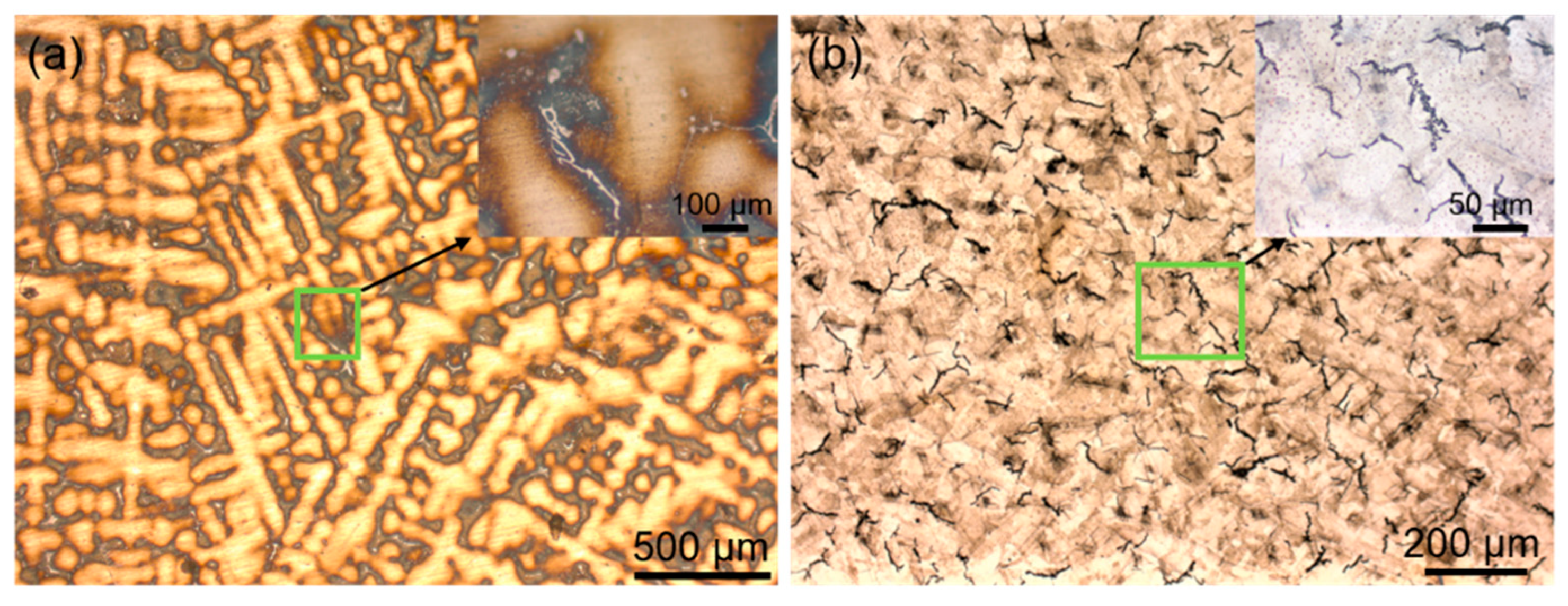 Materials 16 01331 g002 550