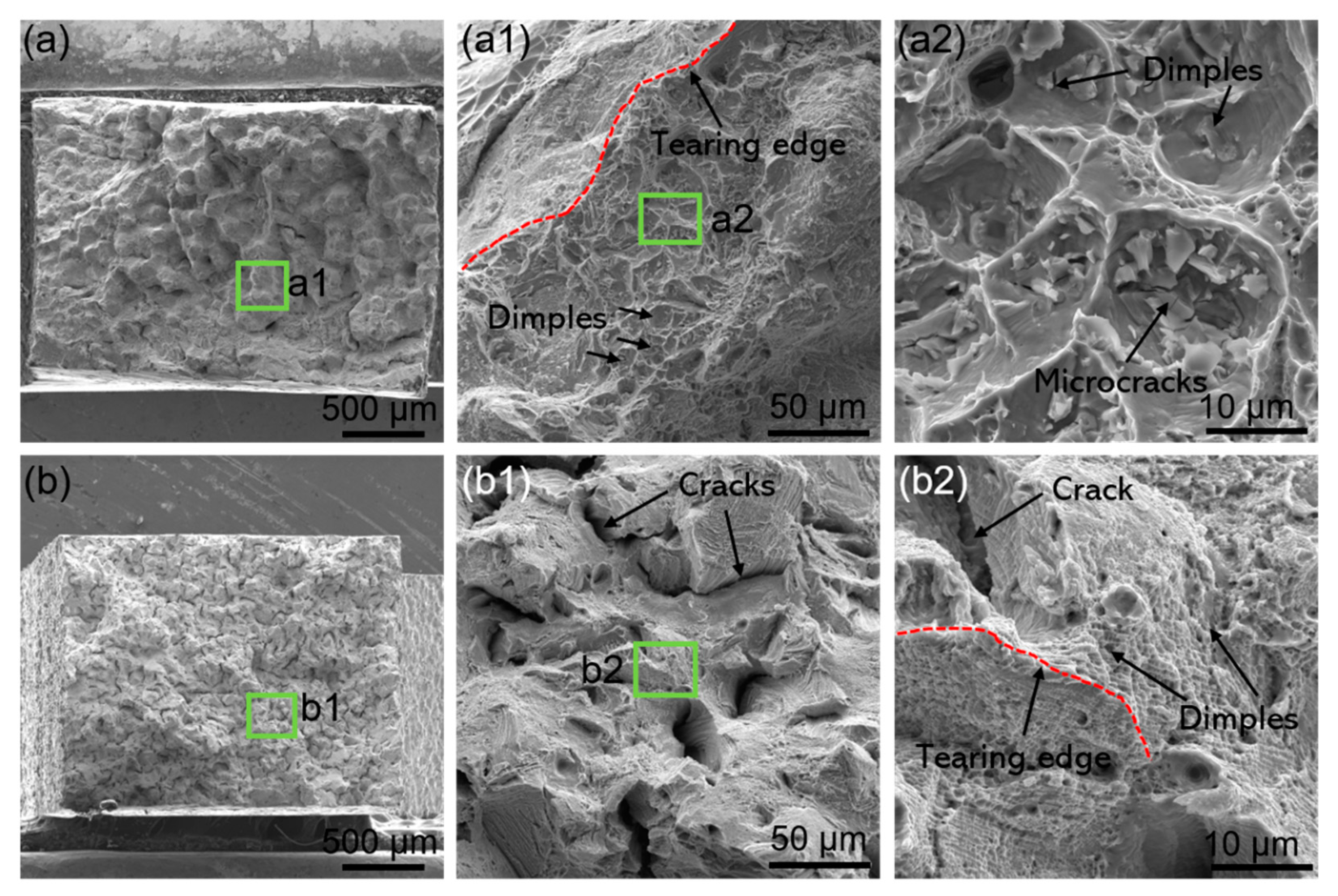 Materials 16 01331 g006 550