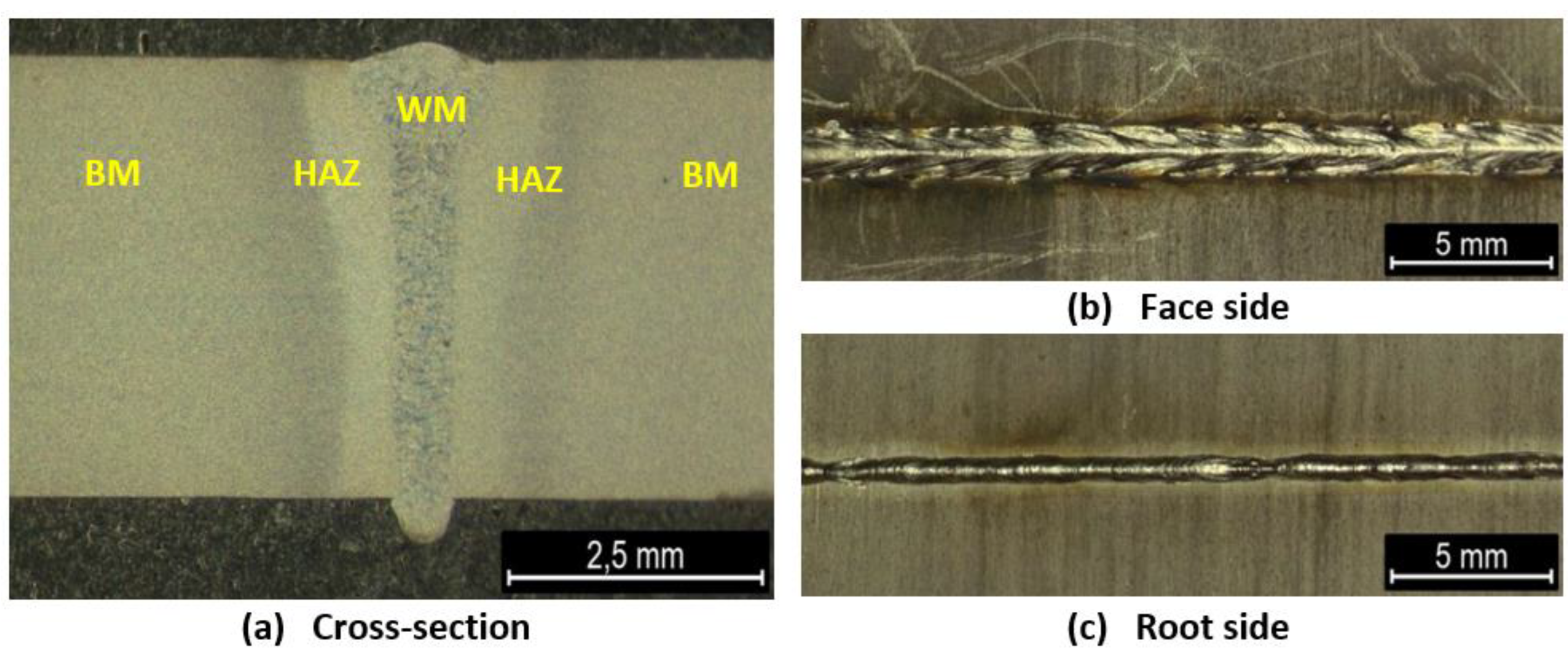 Materials 16 01334 g002 550