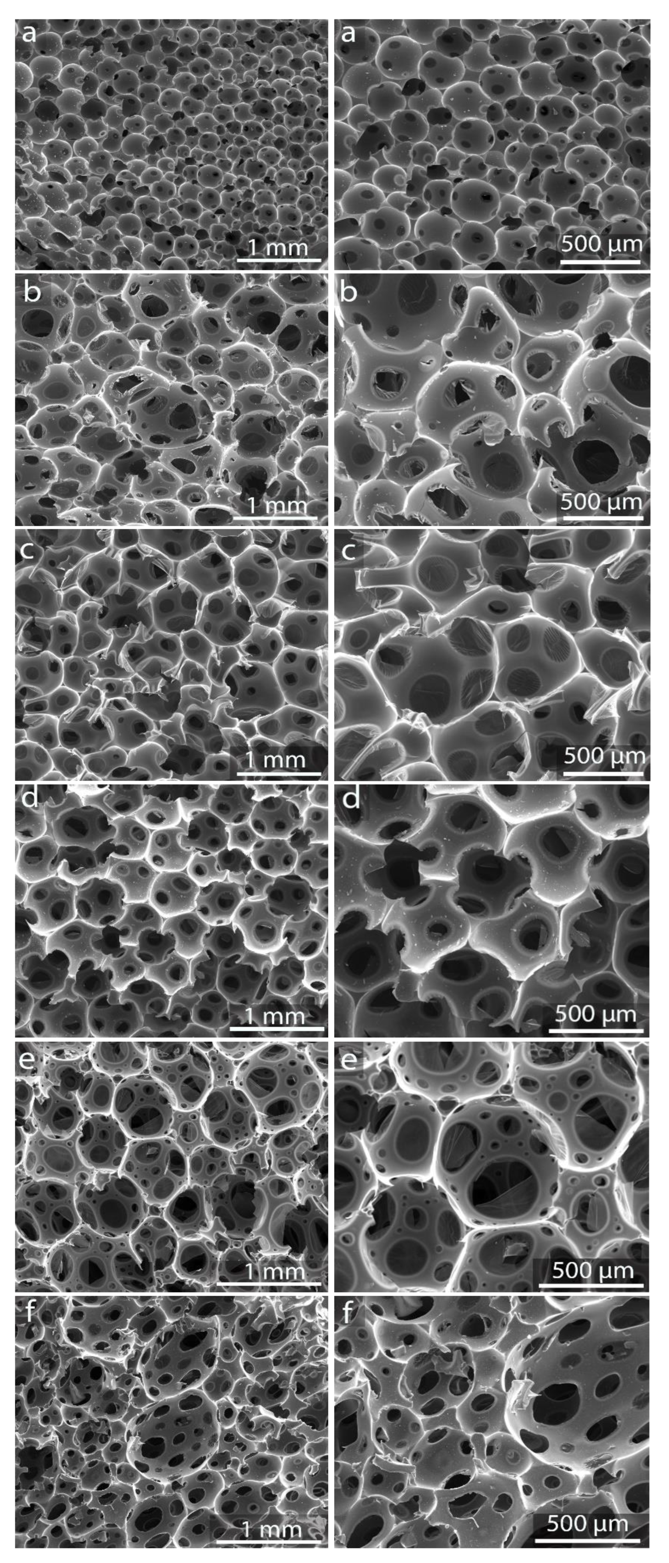 Materials 16 01336 g005 Materials 16 01336 g005