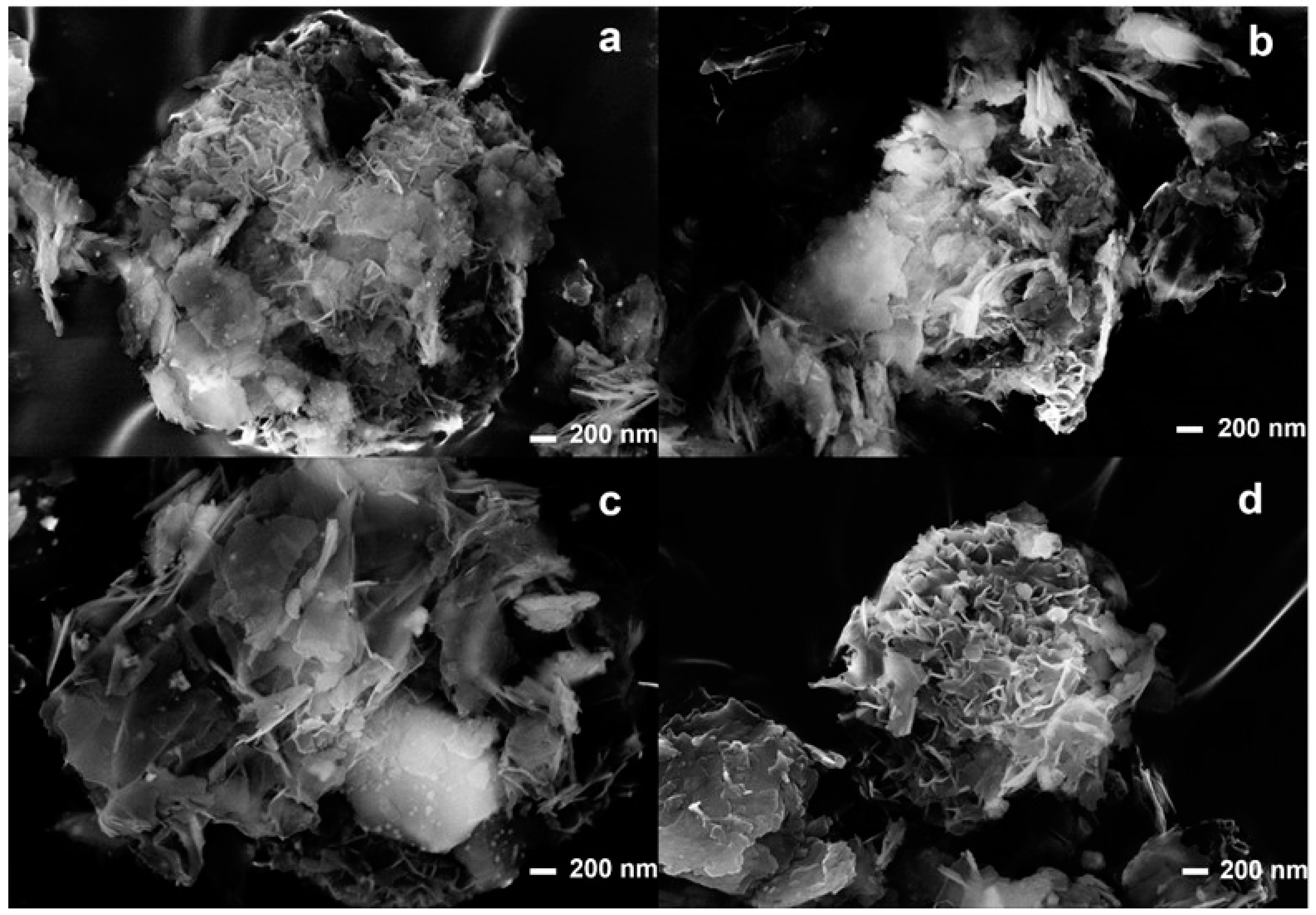 Materials 16 01338 g003