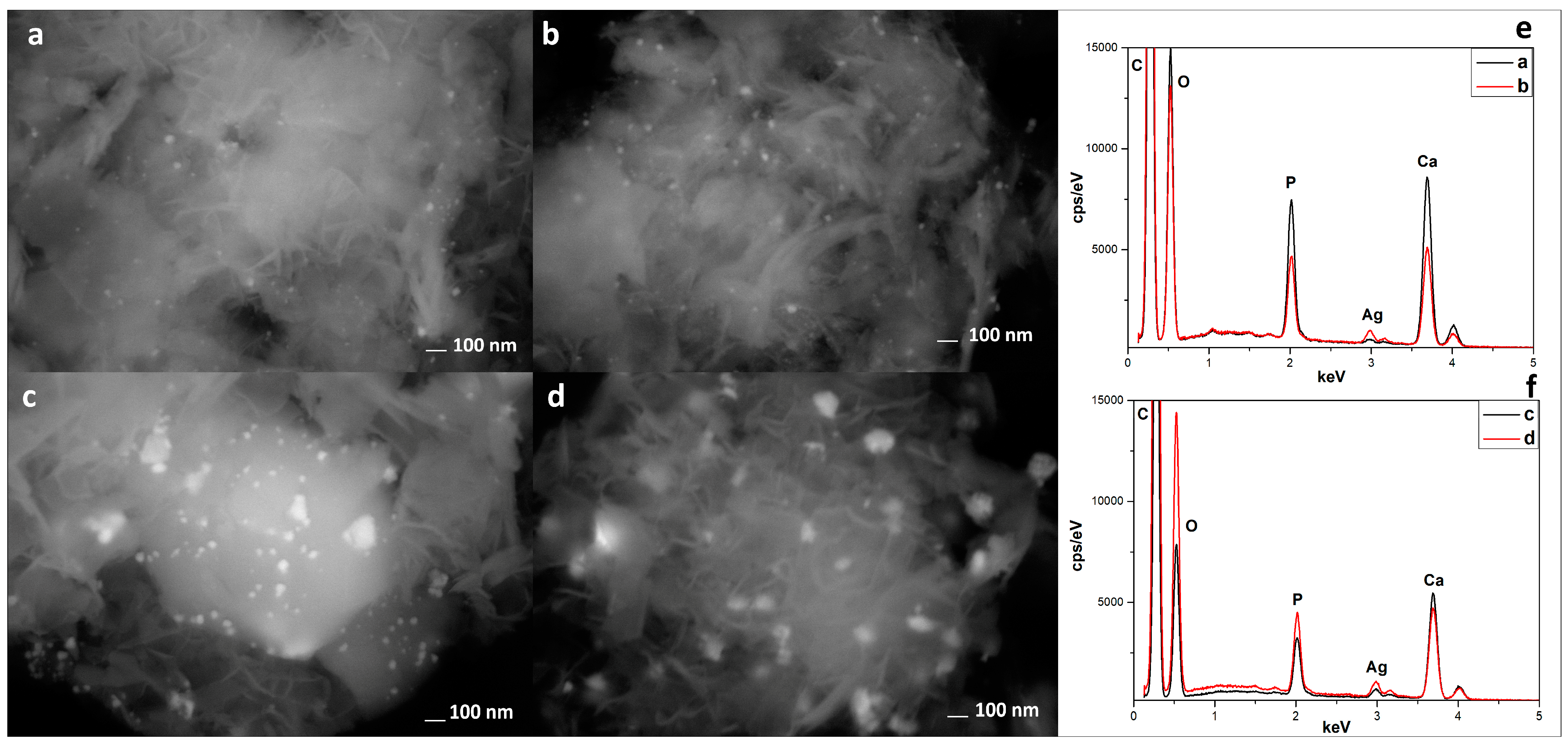 Materials 16 01338 g004