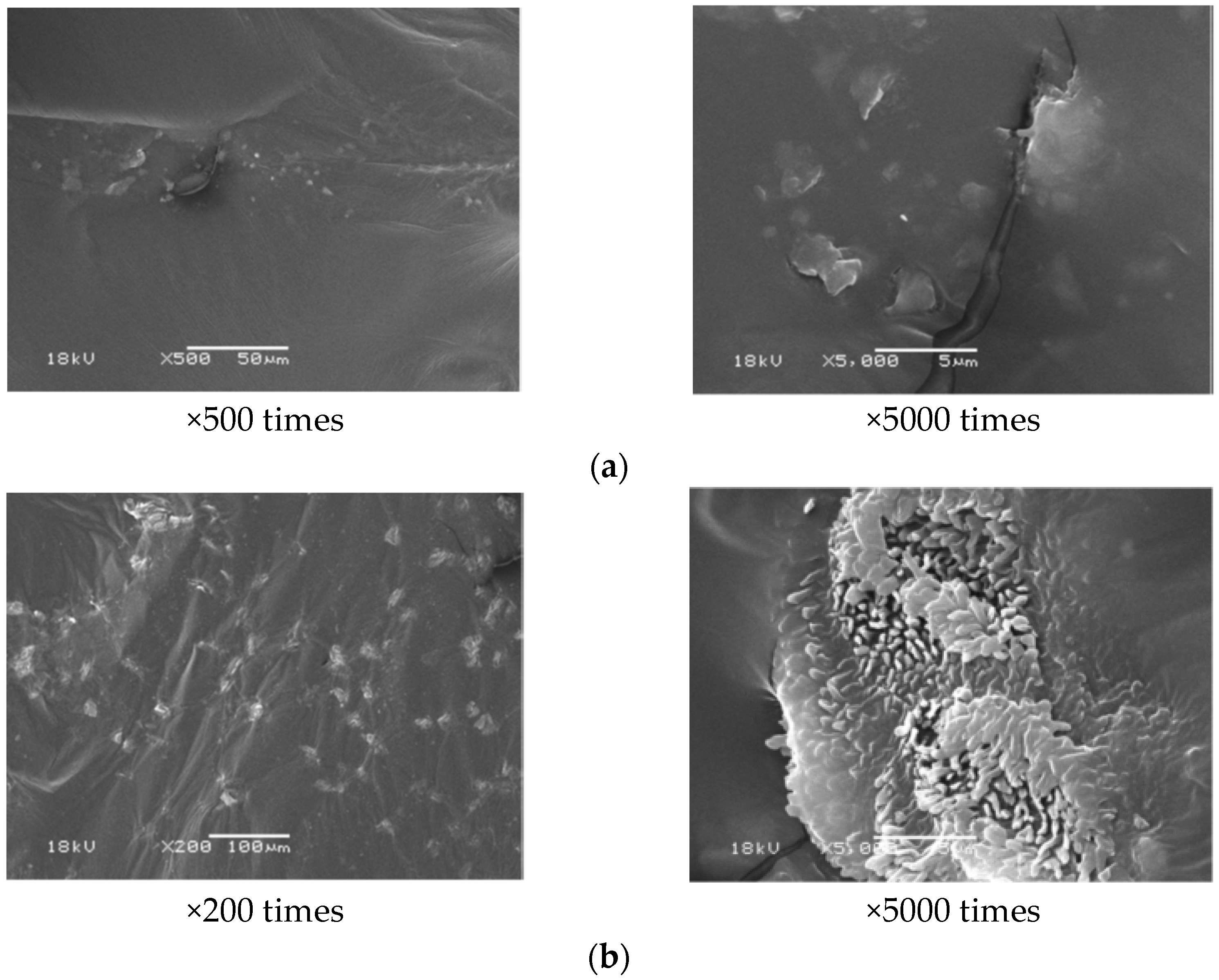 Materials 16 01341 g004