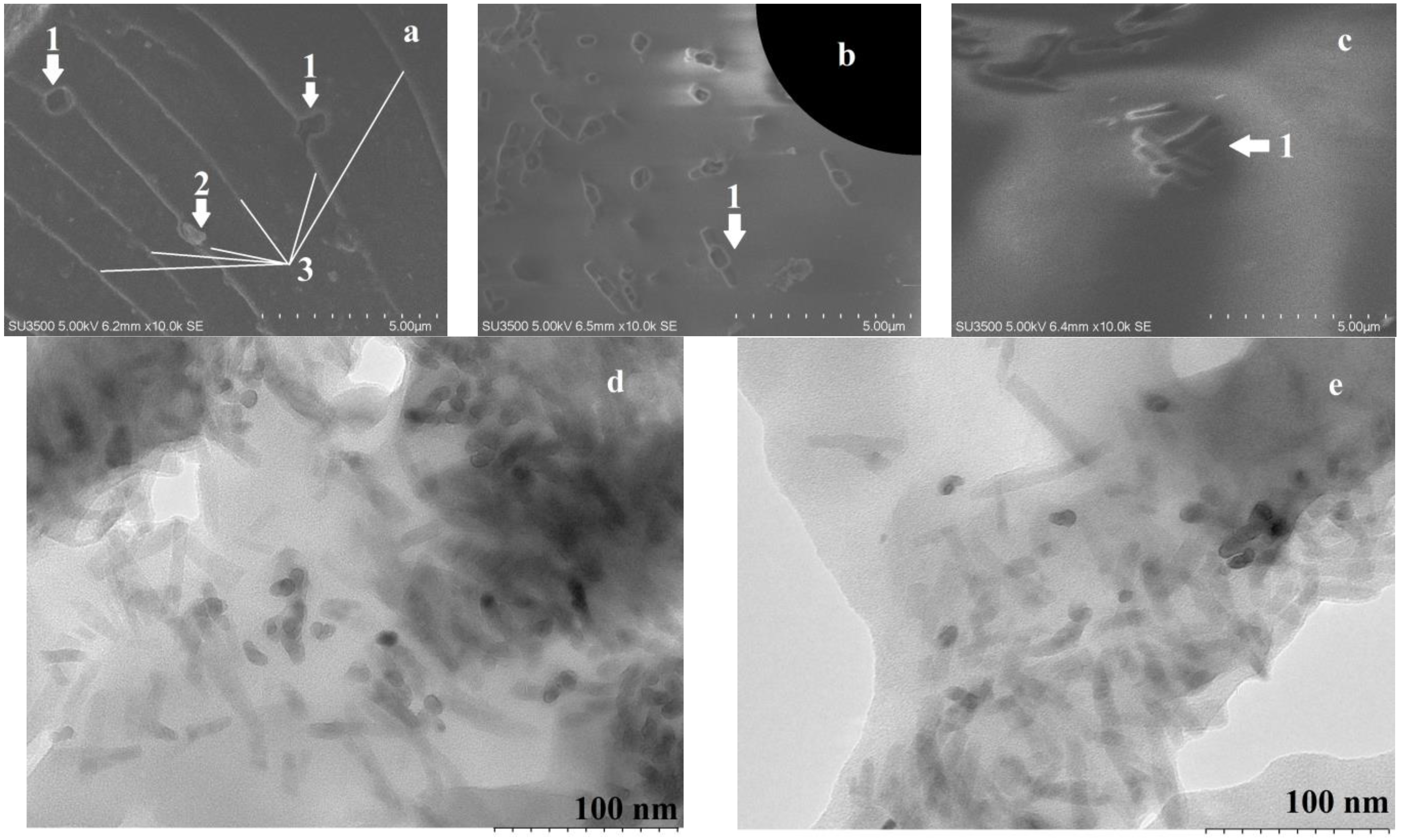 Materials 16 01343 g001