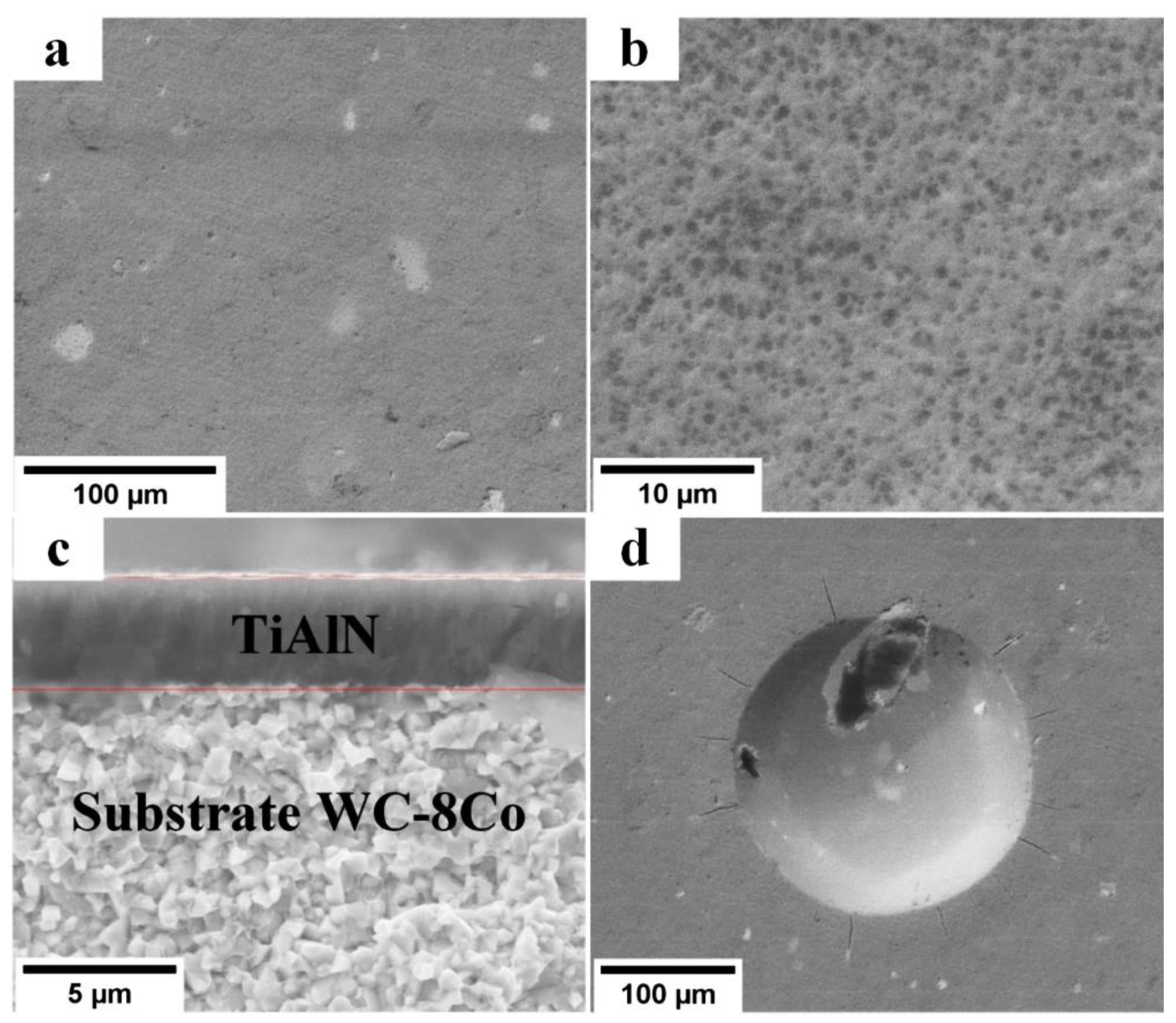 Materials 16 01348 g009 550