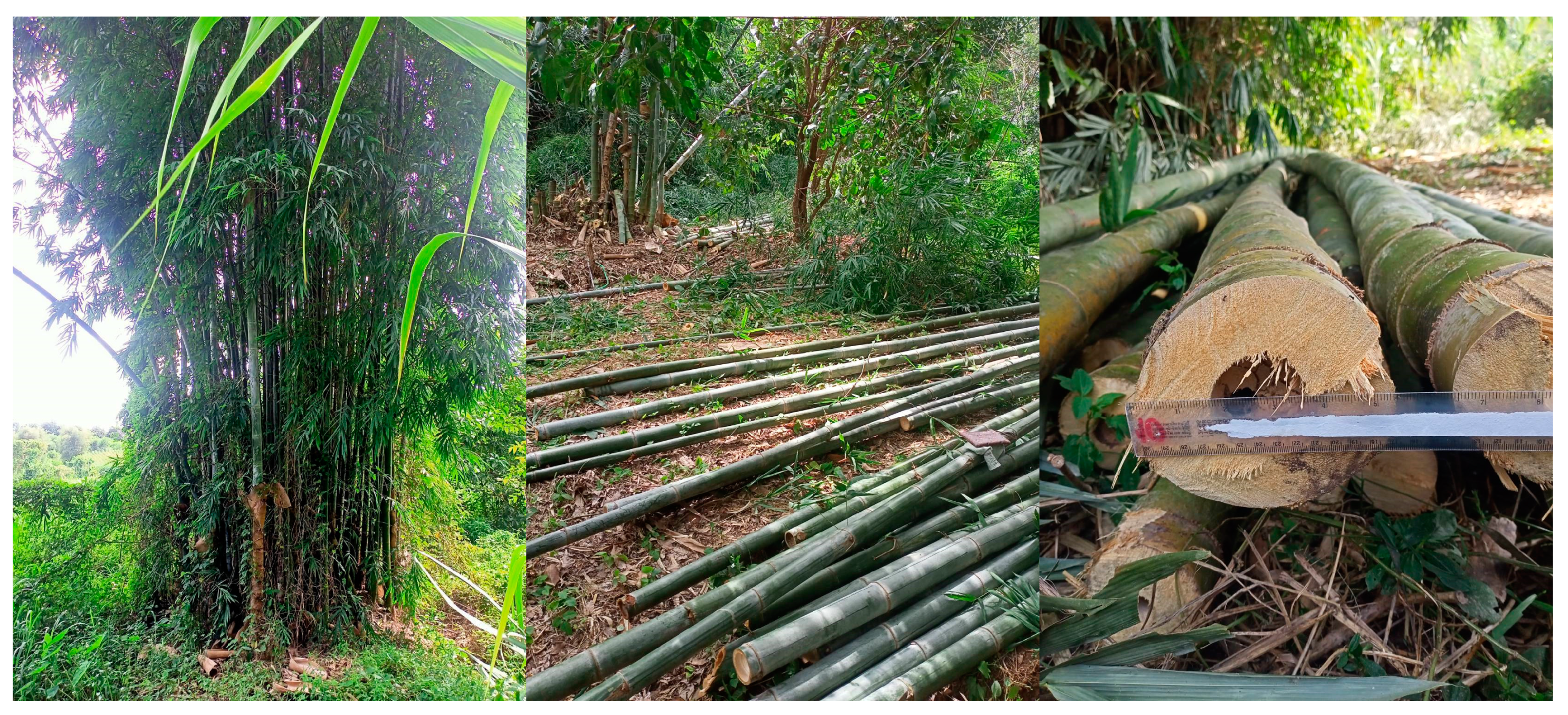 Materials 16 01352 g001 550