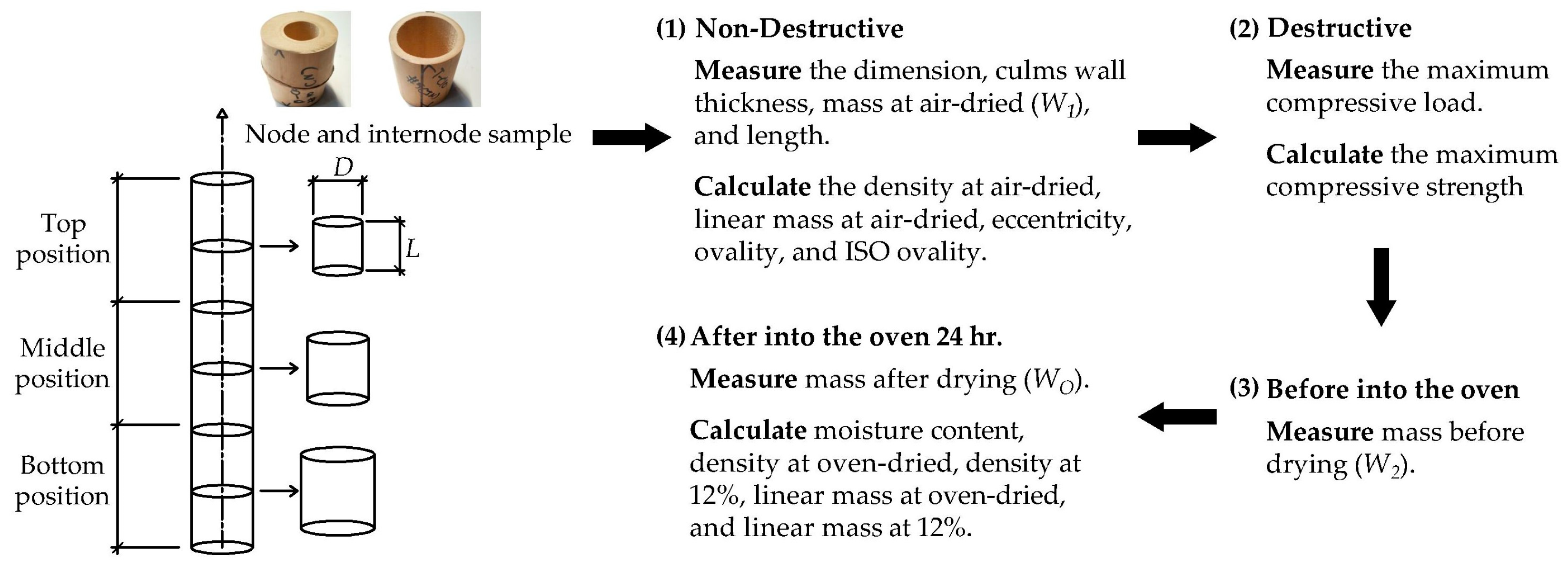 Materials 16 01352 g003 550