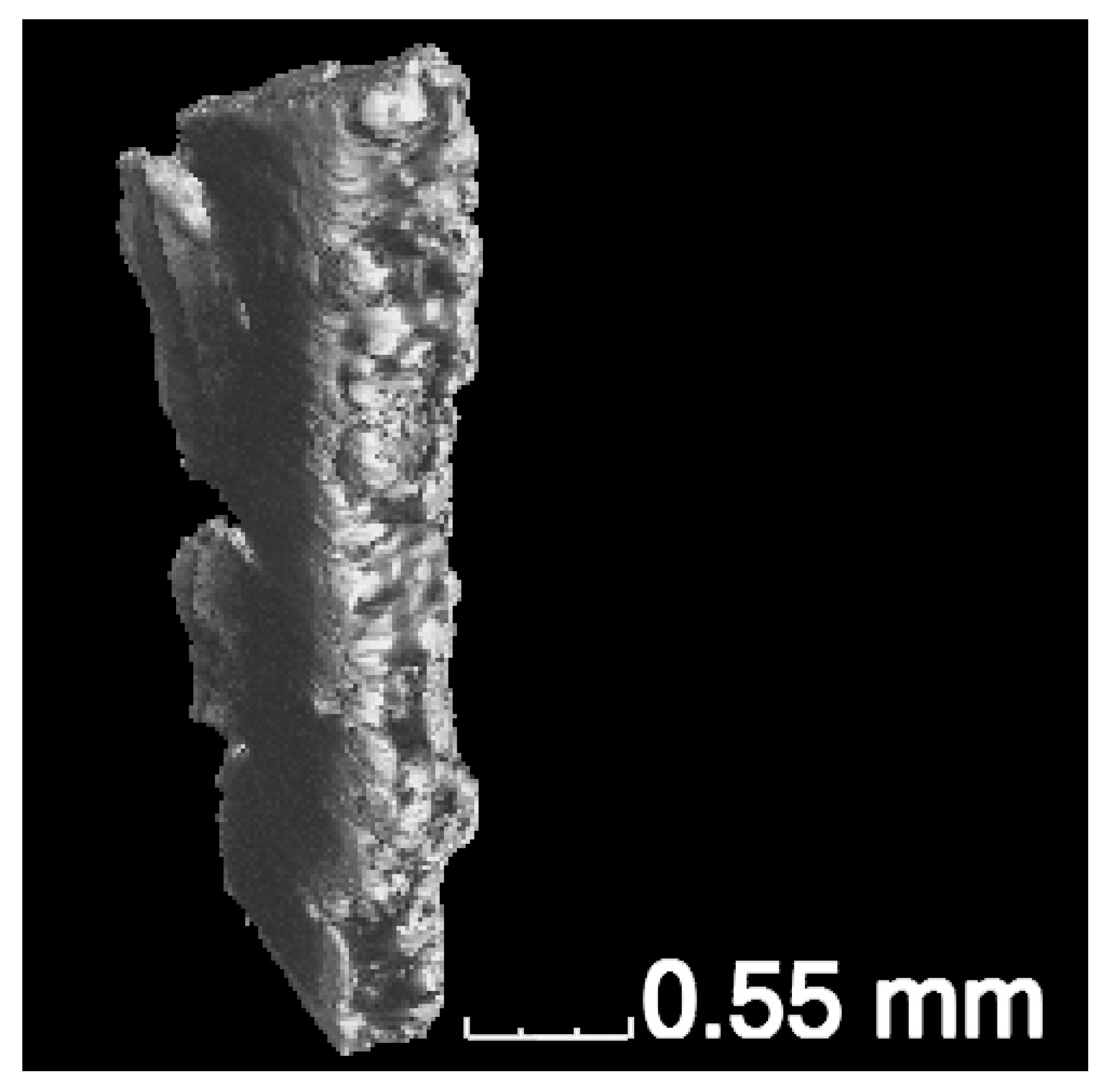 Materials 16 01353 g001