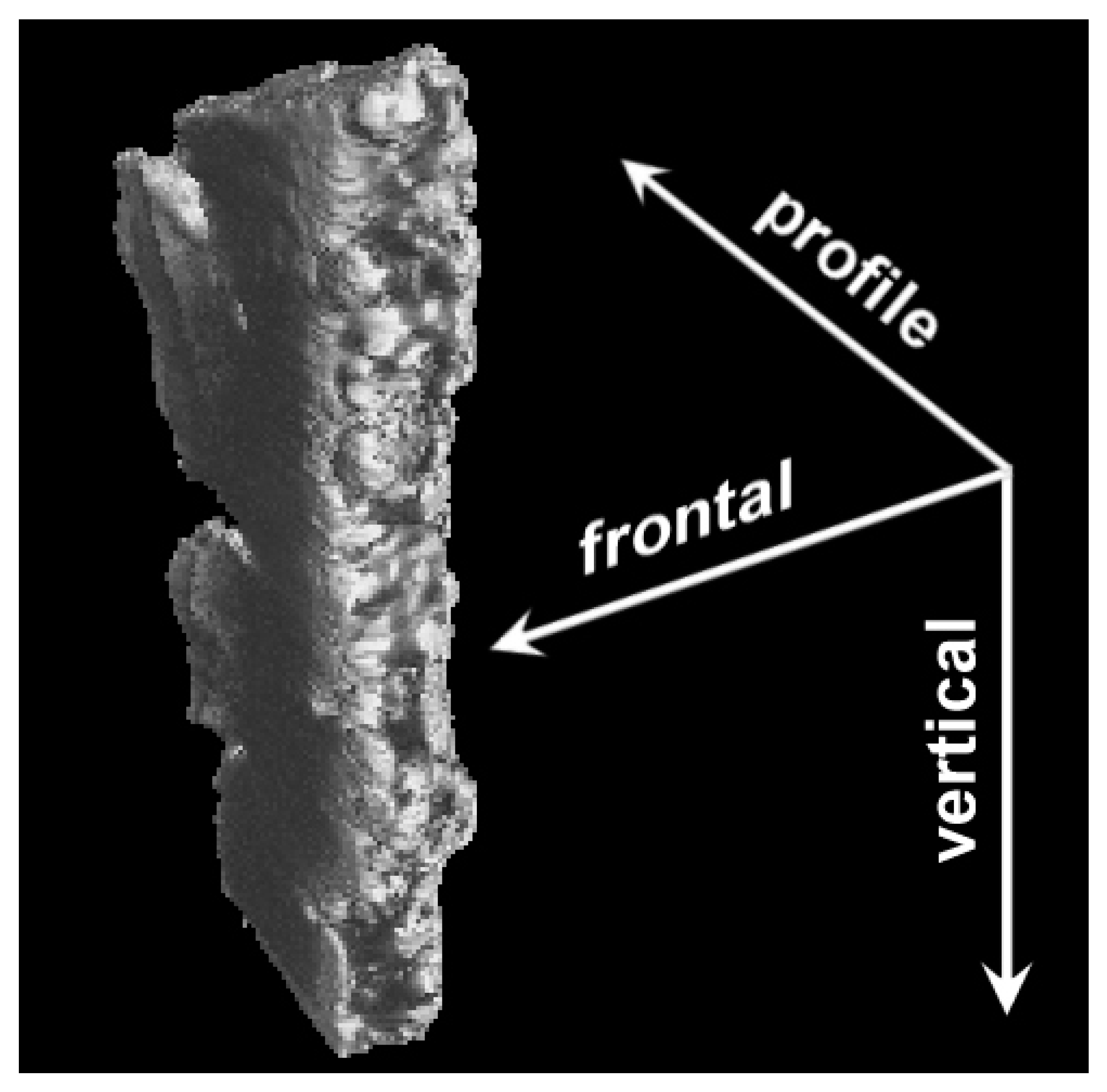 Materials 16 01353 g002