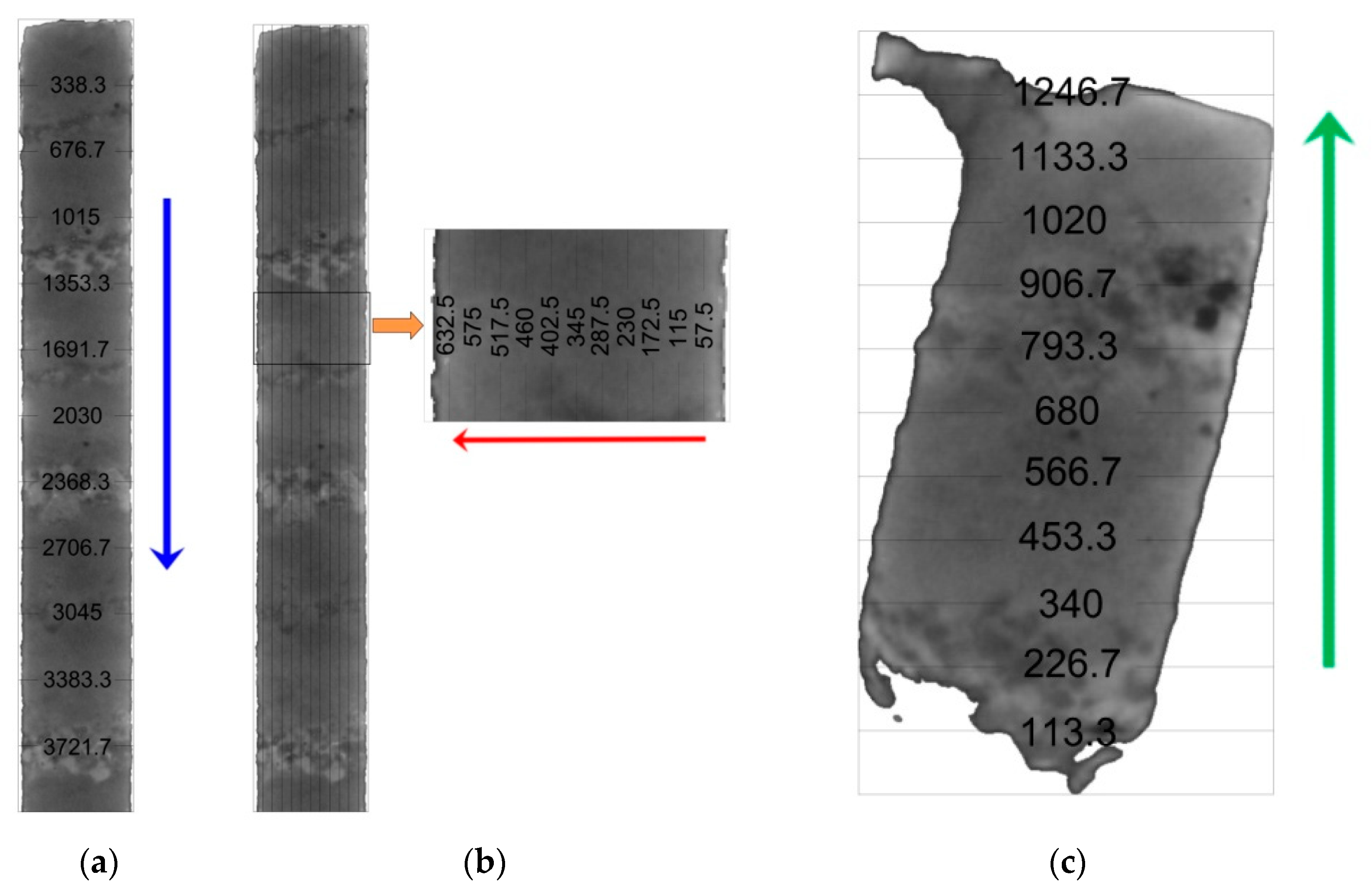 Materials 16 01353 g004