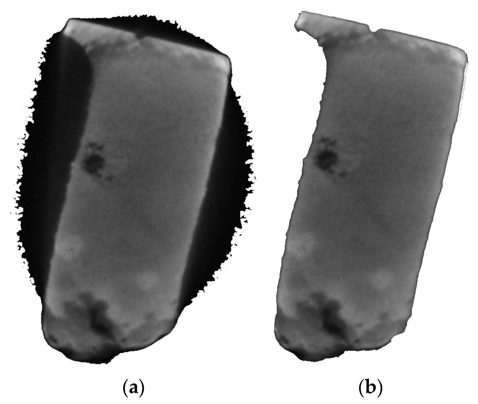 Materials 16 01353 g006