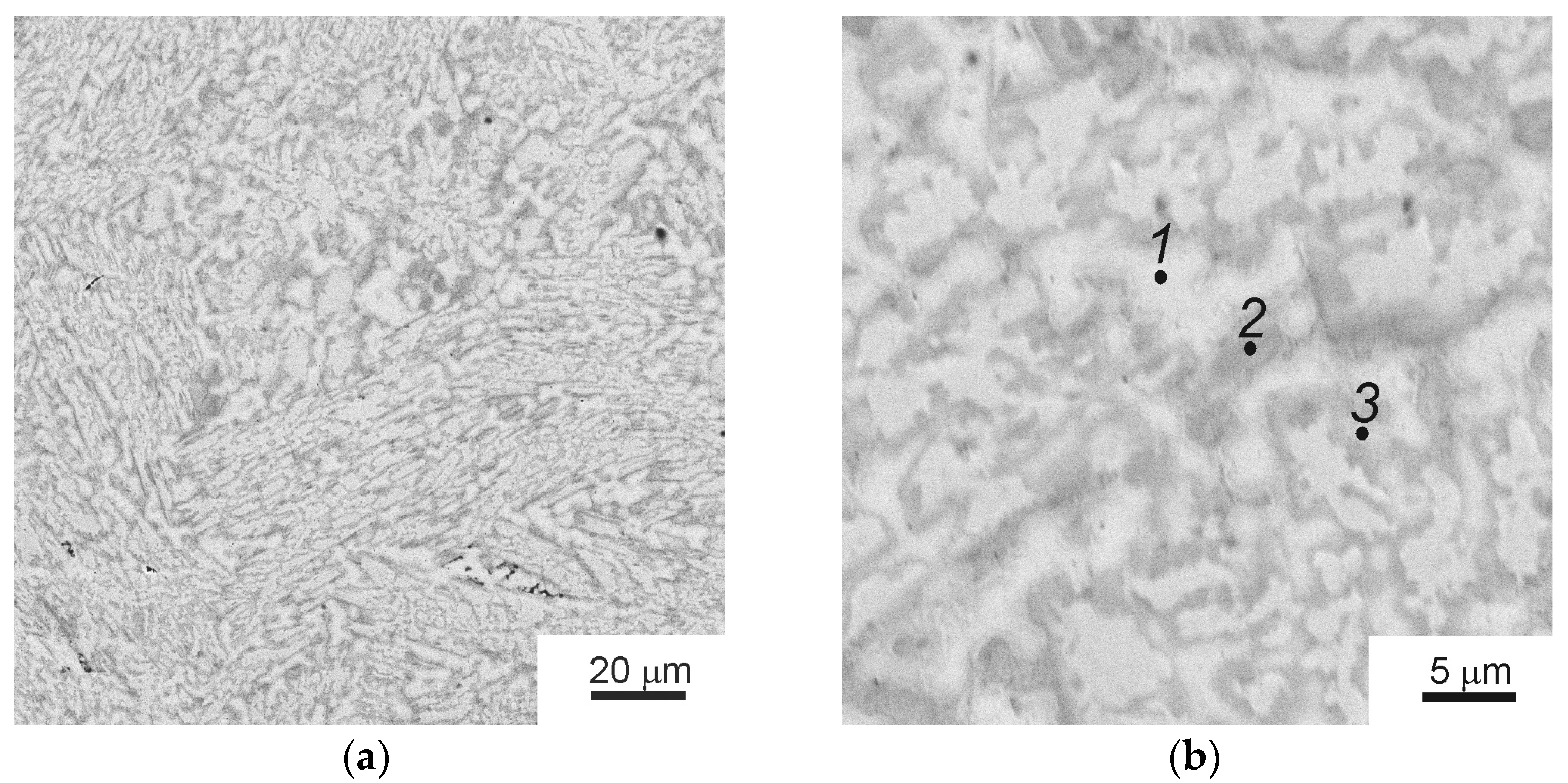 Materials 16 01354 g001 550