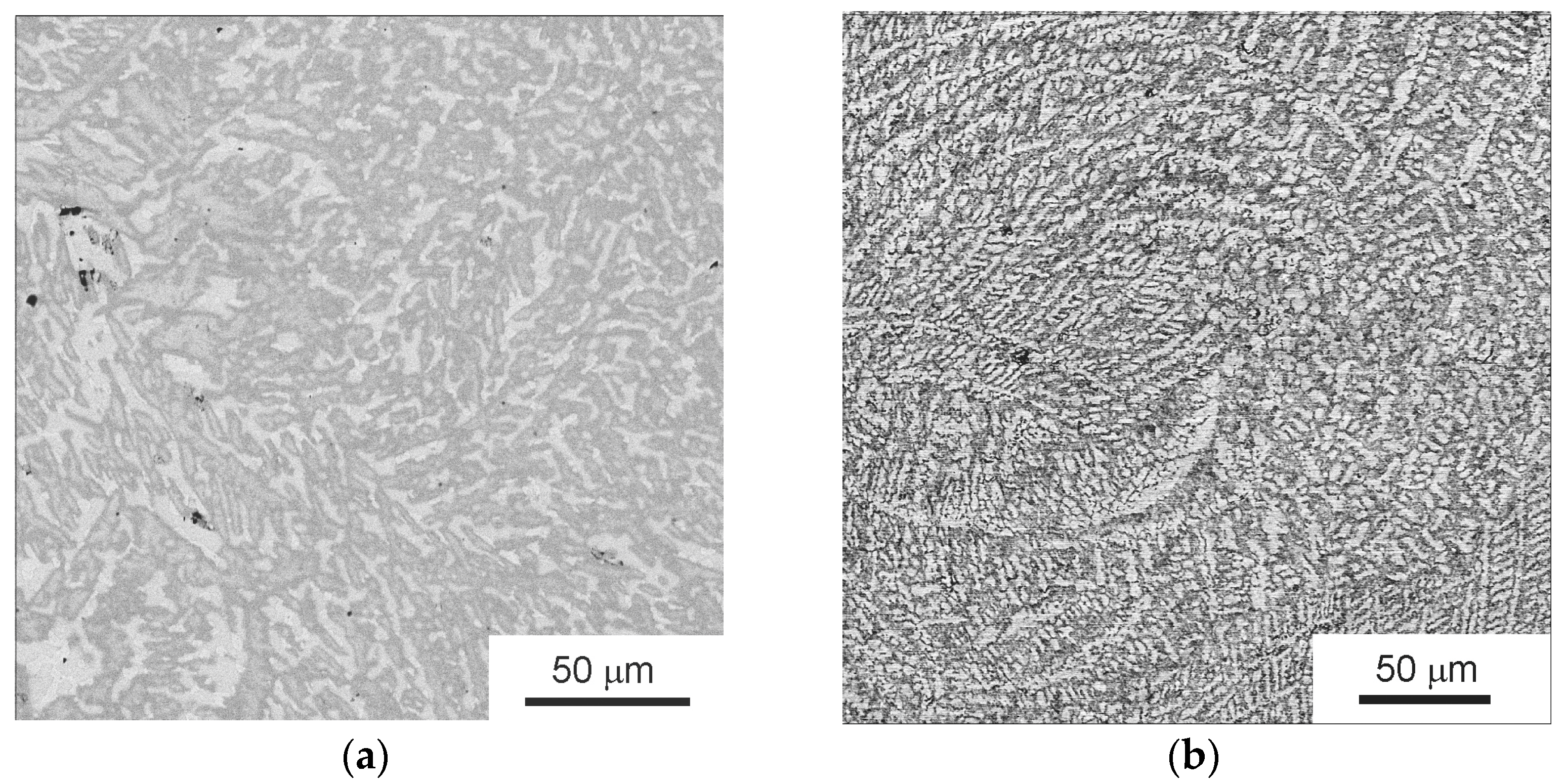 Materials 16 01354 g005 550