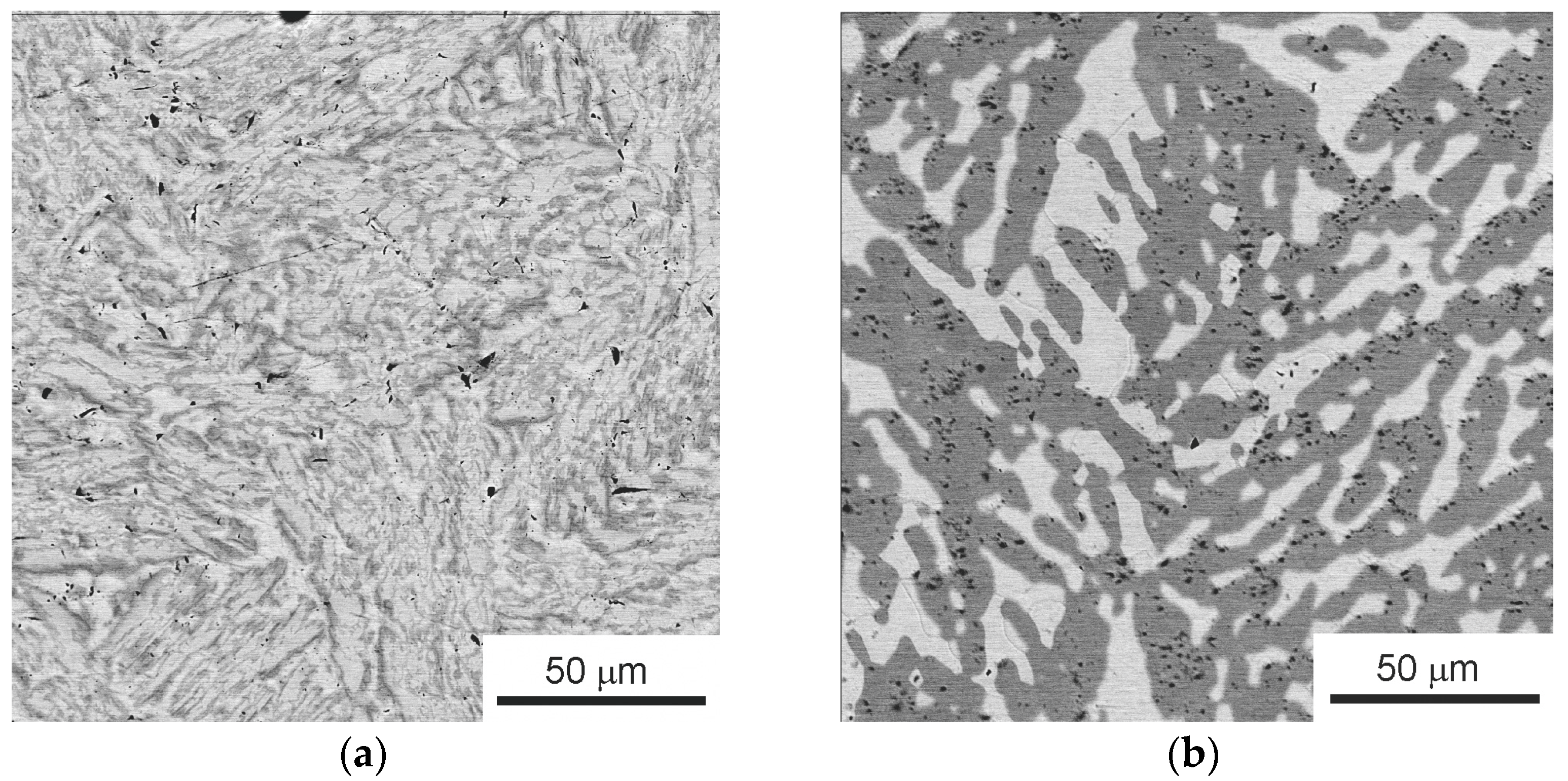 Materials 16 01354 g009 550