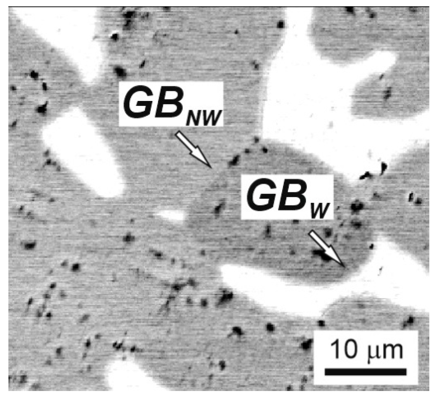 Materials 16 01354 g011 550