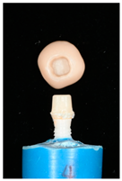 Materials 16 01355 i006