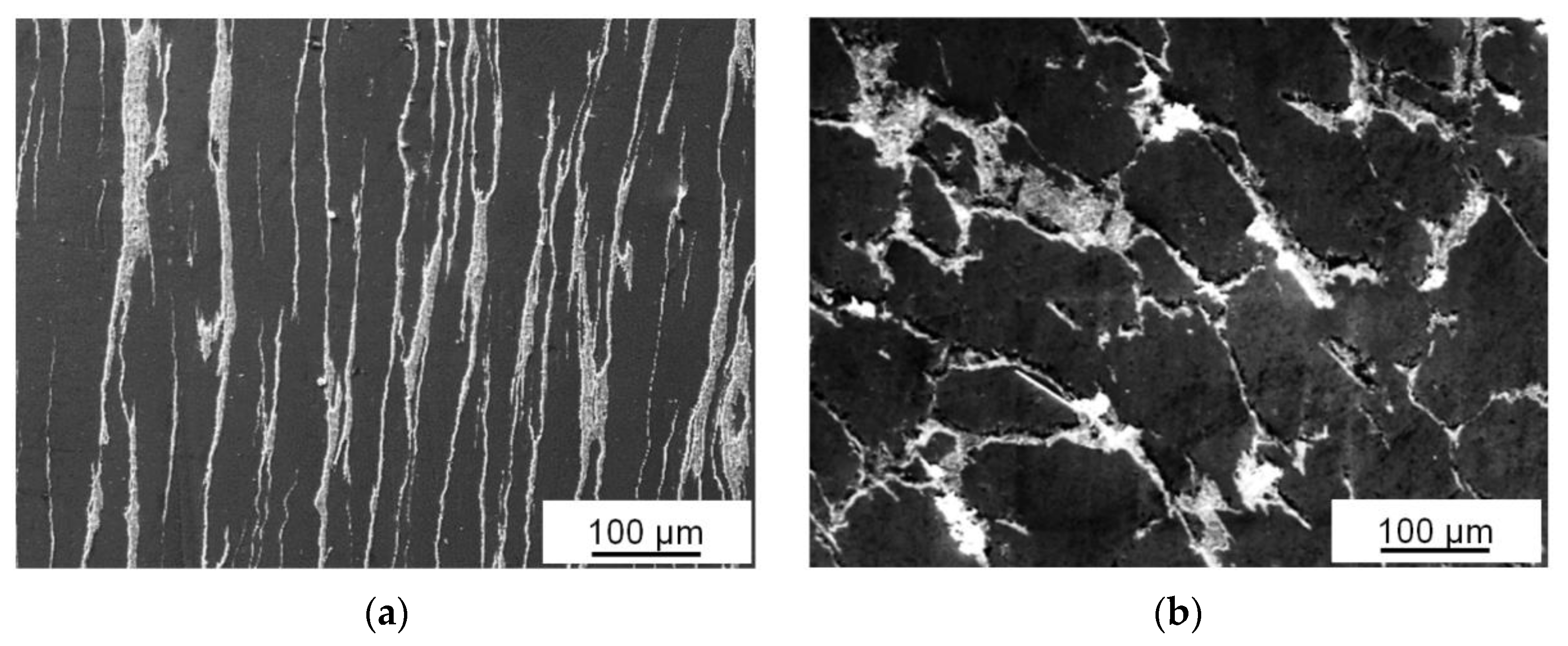 Materials 16 01356 g006