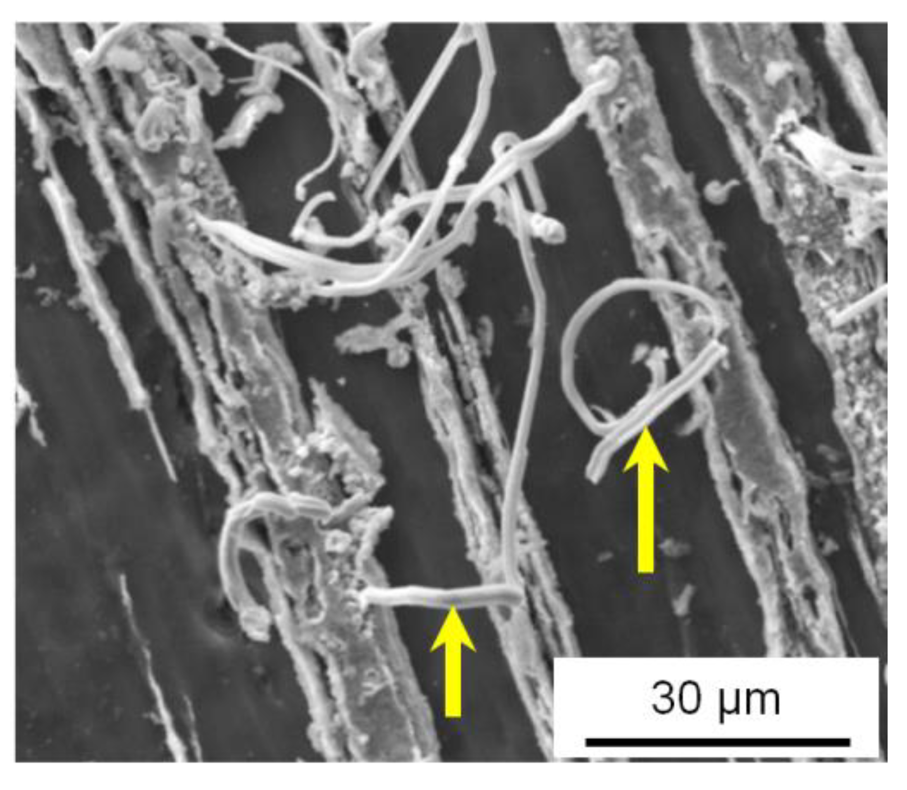 Materials 16 01356 g007