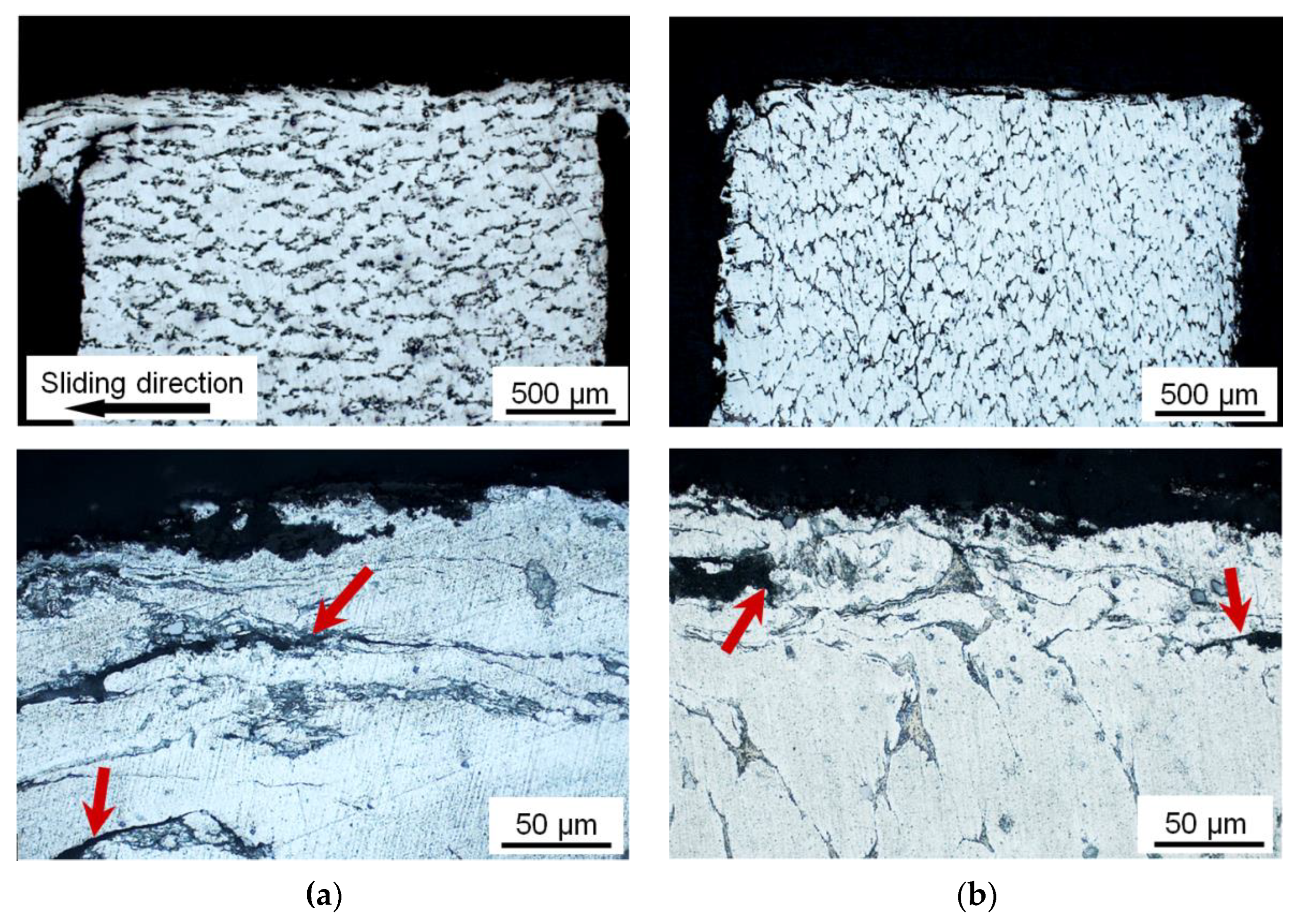 Materials 16 01356 g008