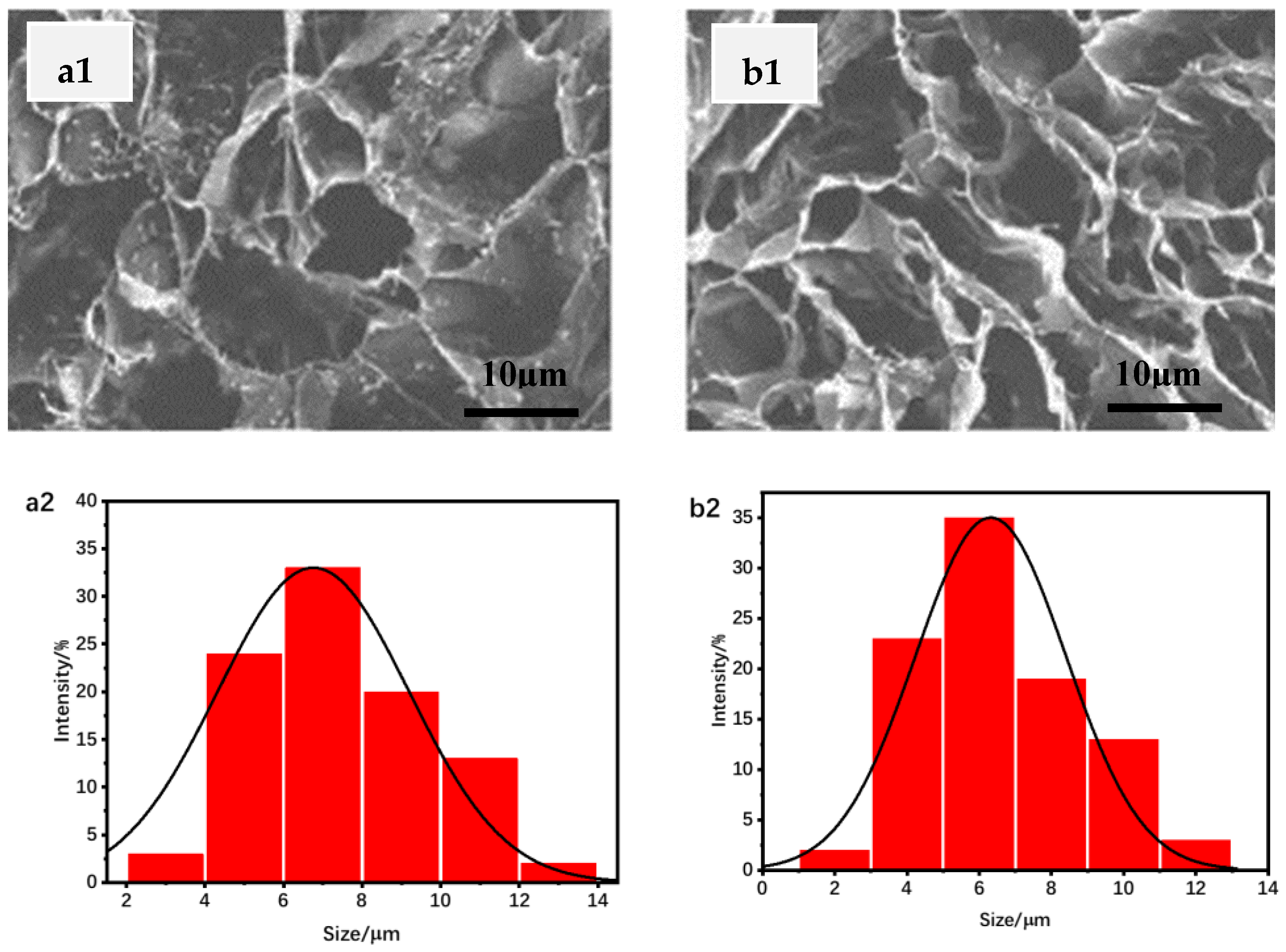 Materials 16 01358 g003