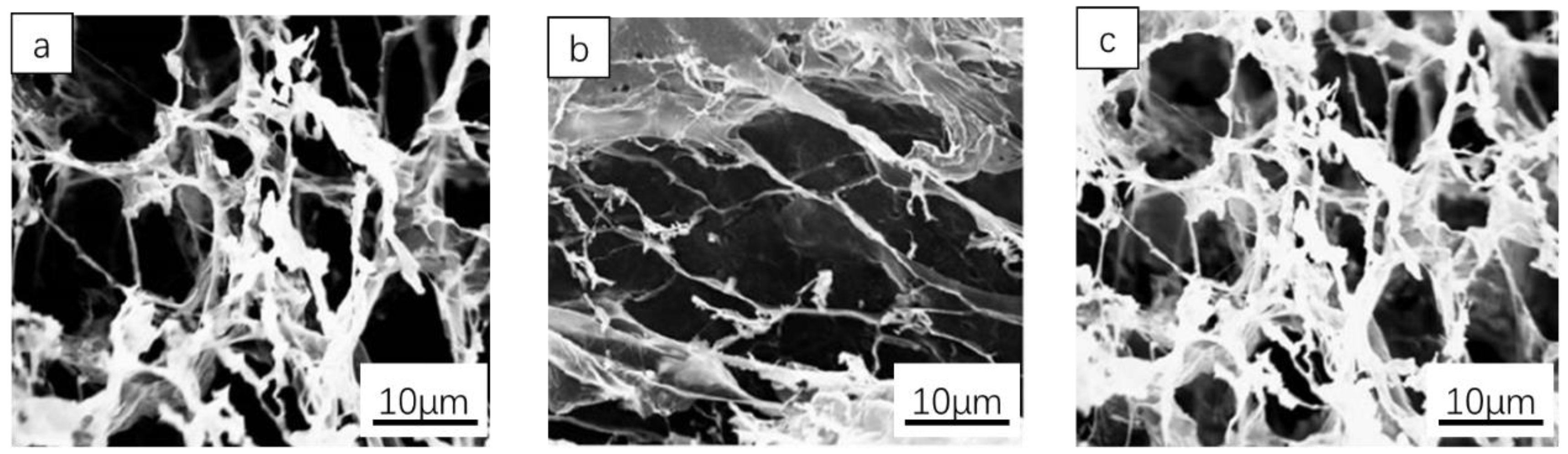 Materials 16 01358 g005