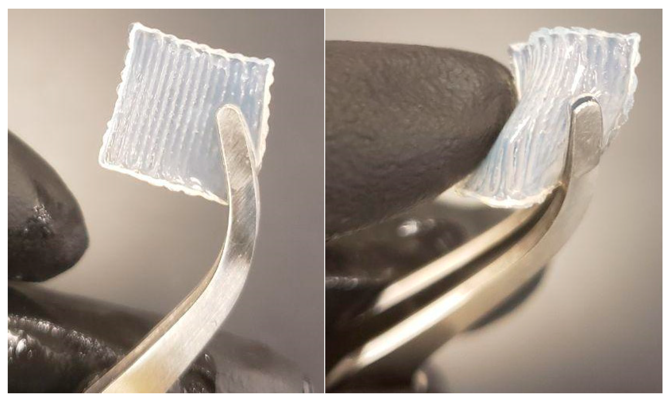 Materials 16 01364 g002