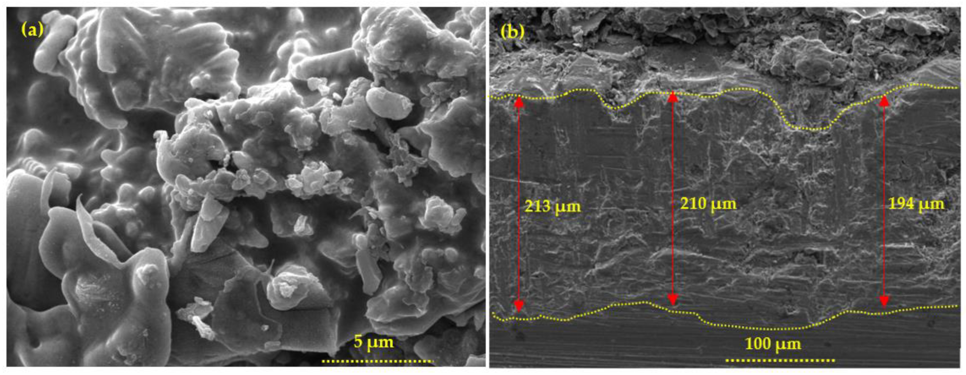 Materials 16 01372 g005 Materials 16 01372 g005