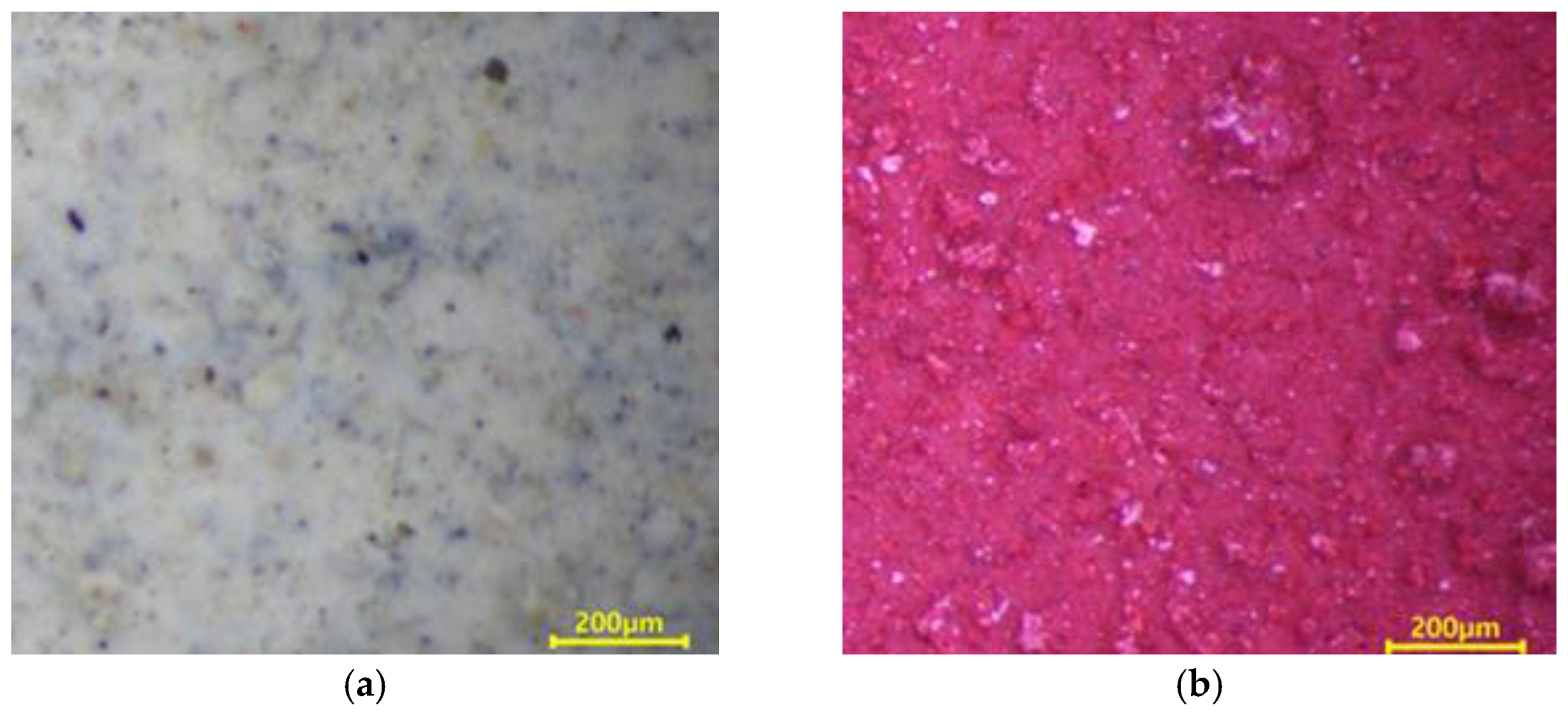 Materials 16 01372 g006 Materials 16 01372 g006