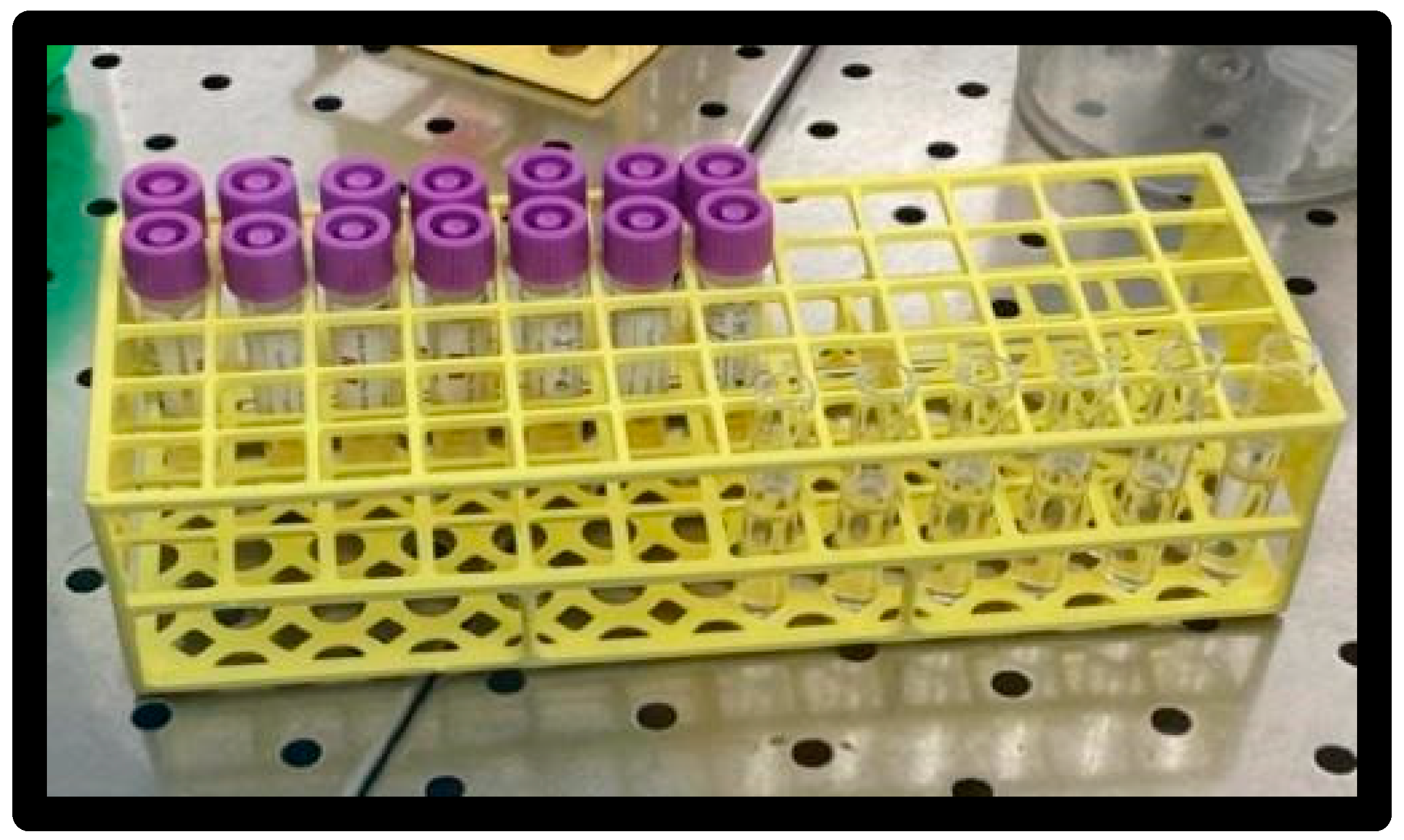 Materials 16 01373 g004