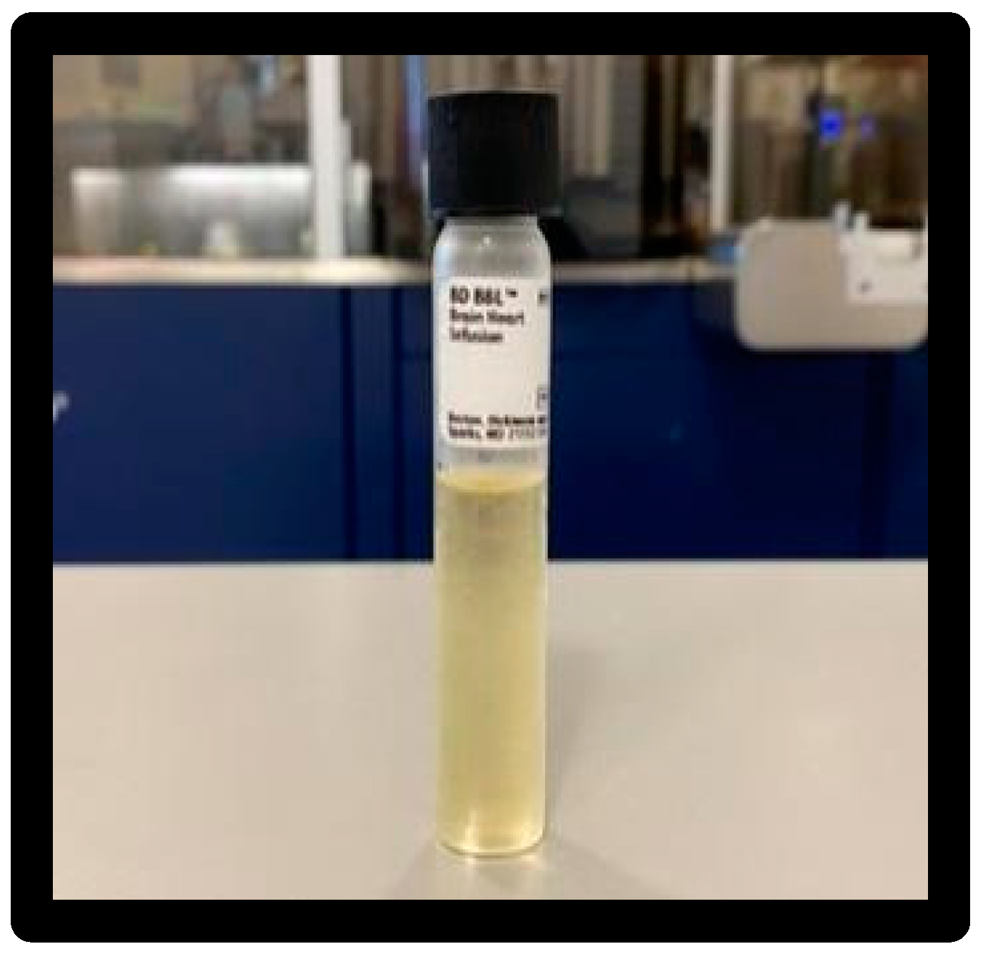 Materials 16 01373 g005