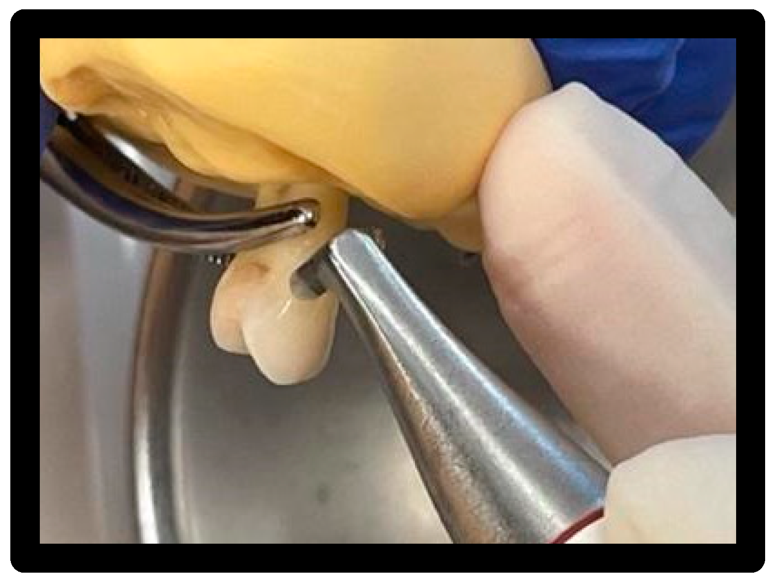 Materials 16 01373 g013