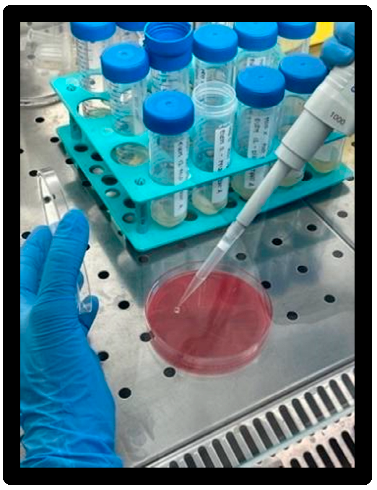 Materials 16 01373 g018