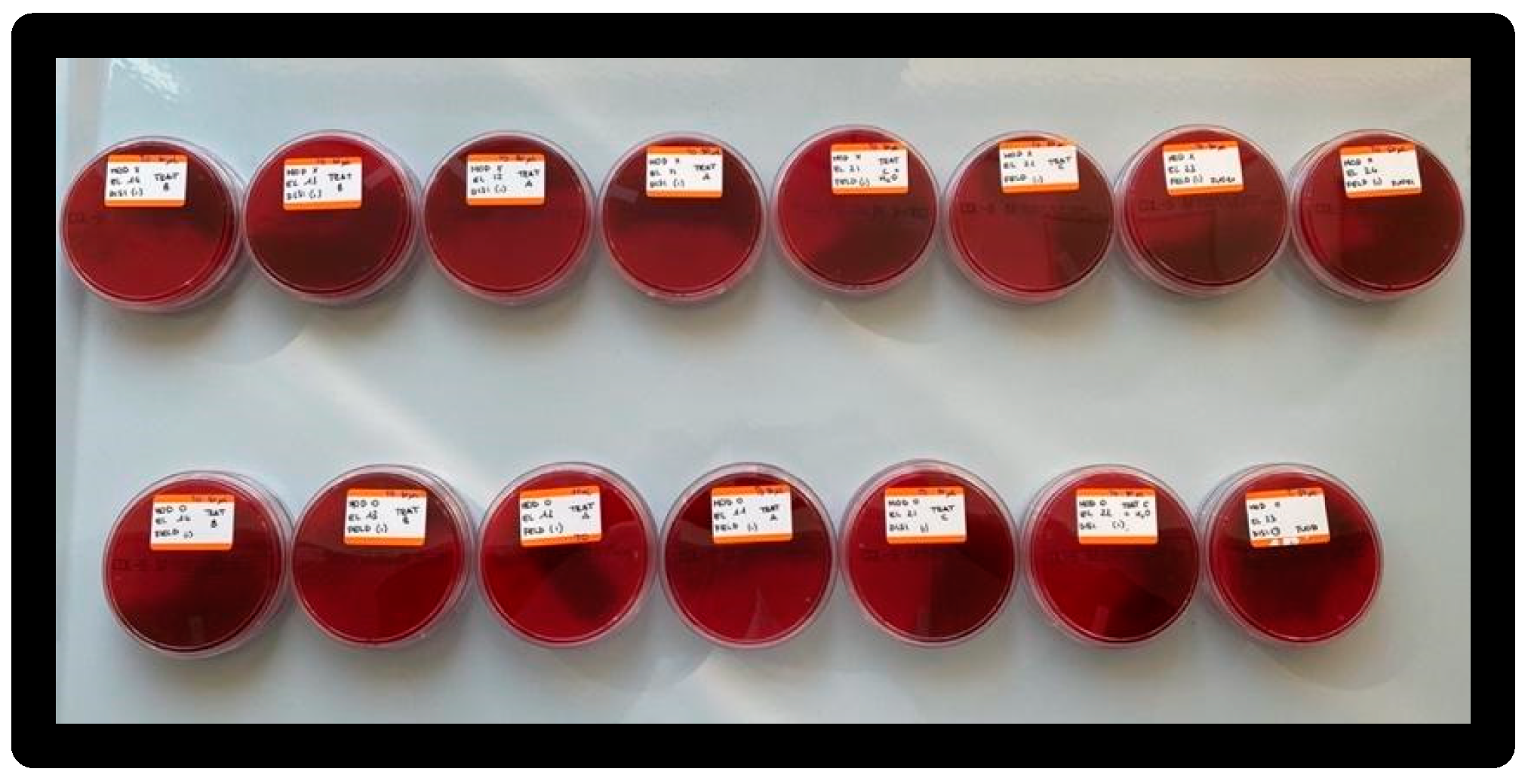 Materials 16 01373 g019