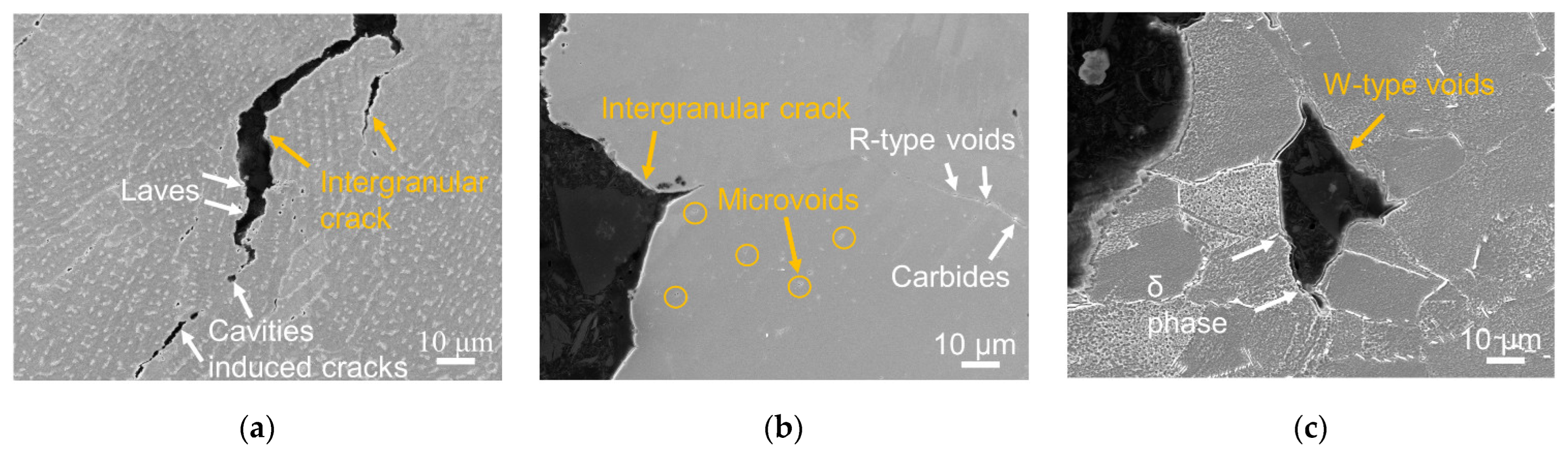 Materials 16 01377 g006 550