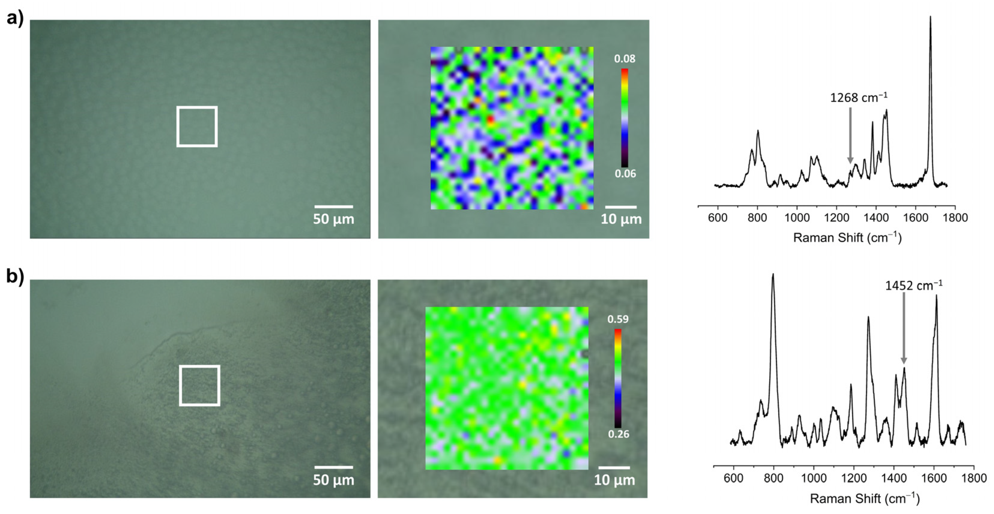 Materials 16 01381 g006