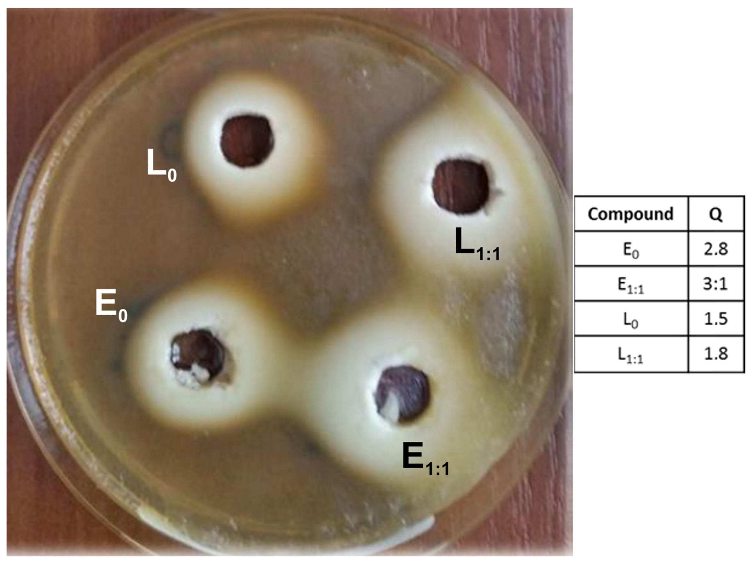 Materials 16 01381 g008