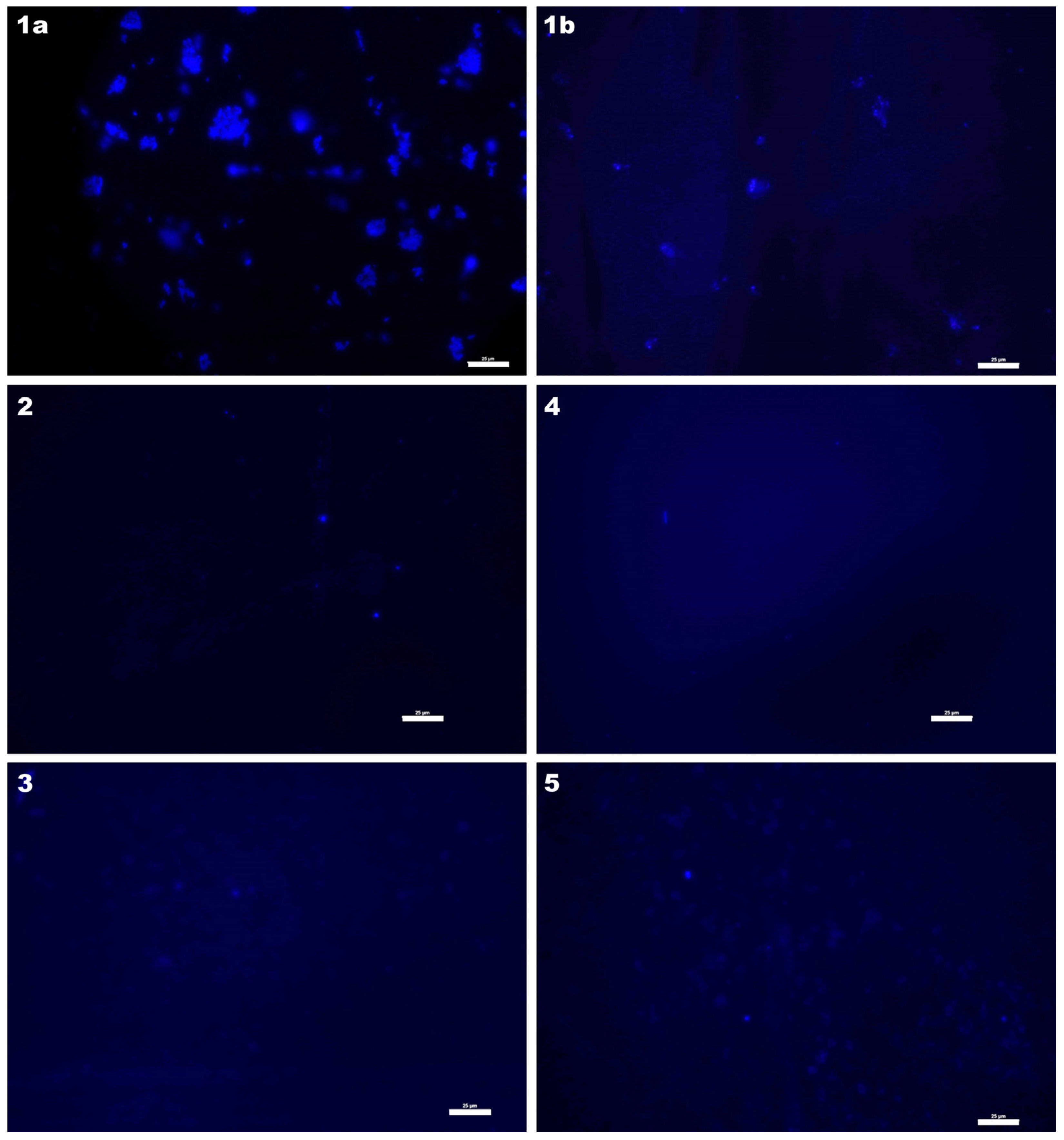 Materials 16 01381 g010
