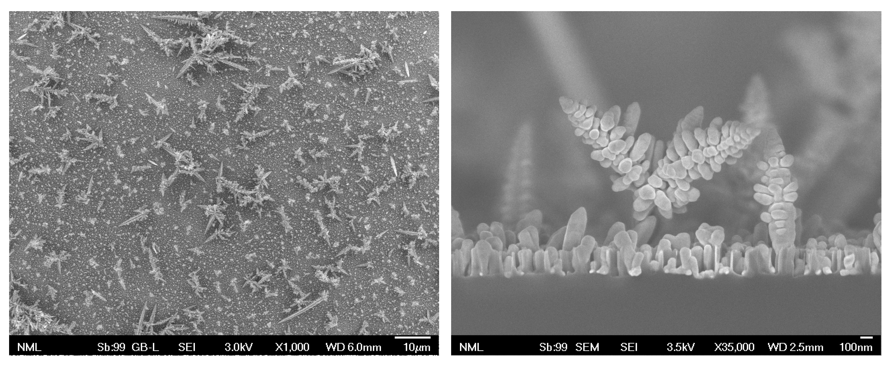 Materials 16 01386 g002 Materials 16 01386 g002