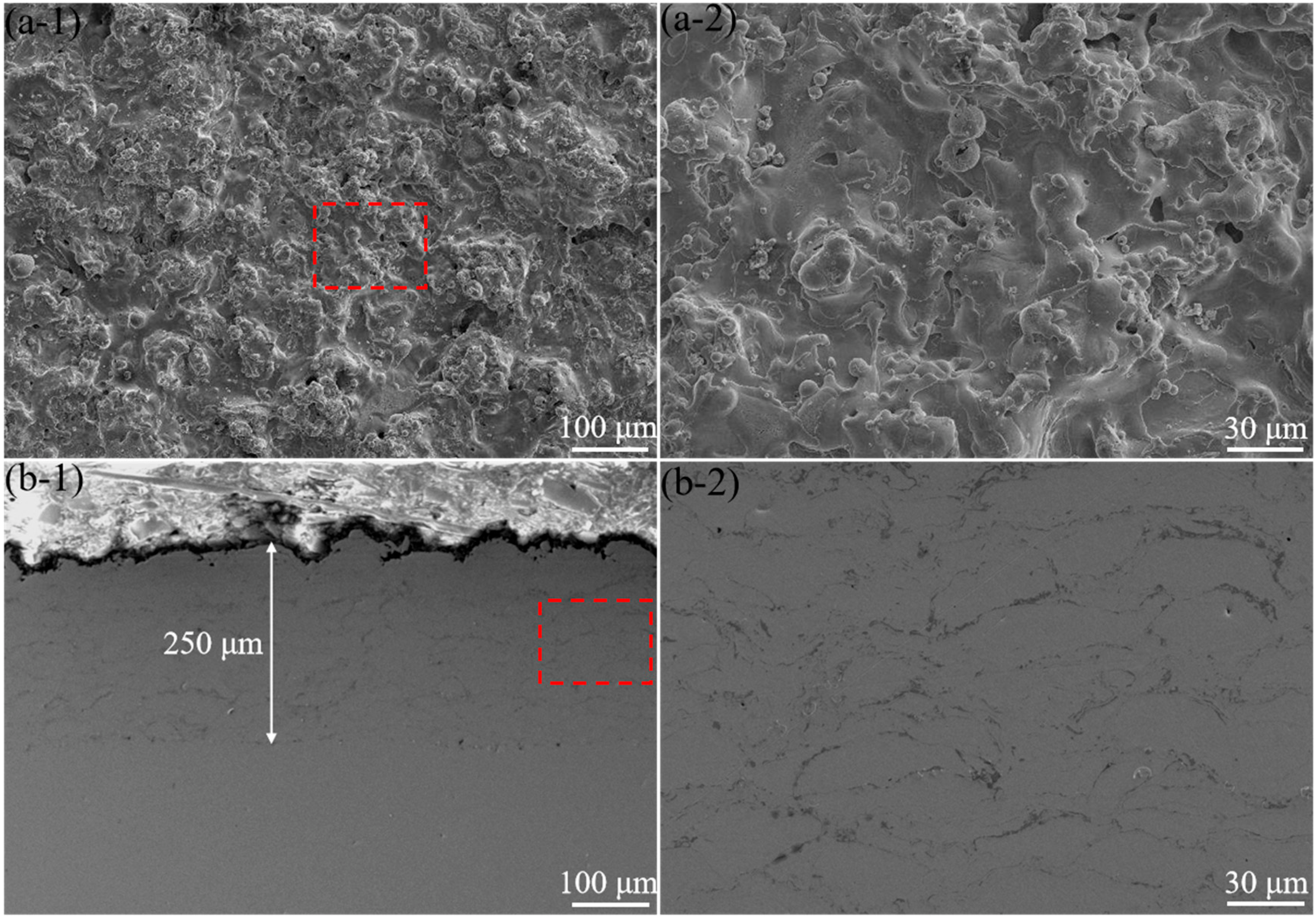 Materials 16 01392 g001 550